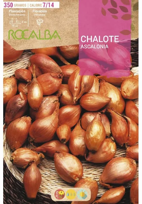Cebolla Chalote para Plantar 350g Rocalba
