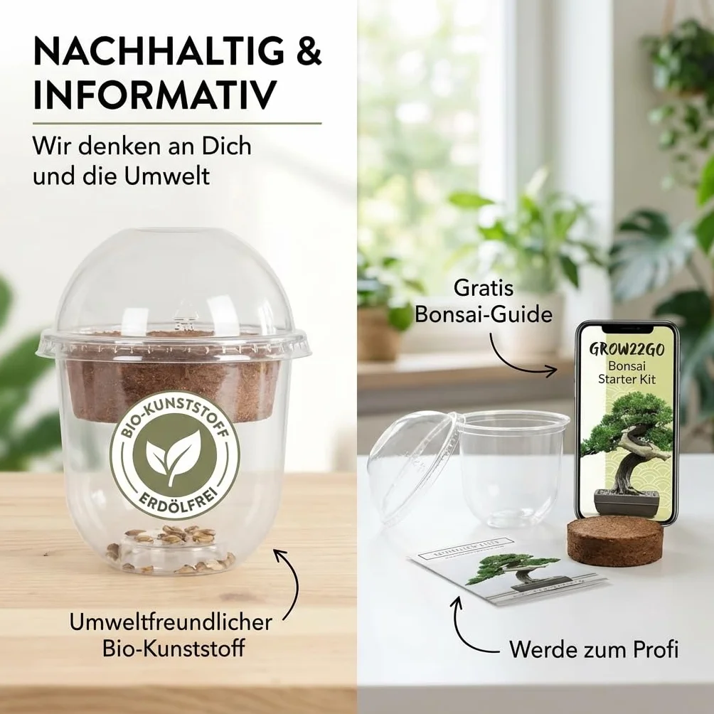 GROW2GO Bonsai Kit Set con Mini Invernadero, Semillas y Tierra - Pino Australiano