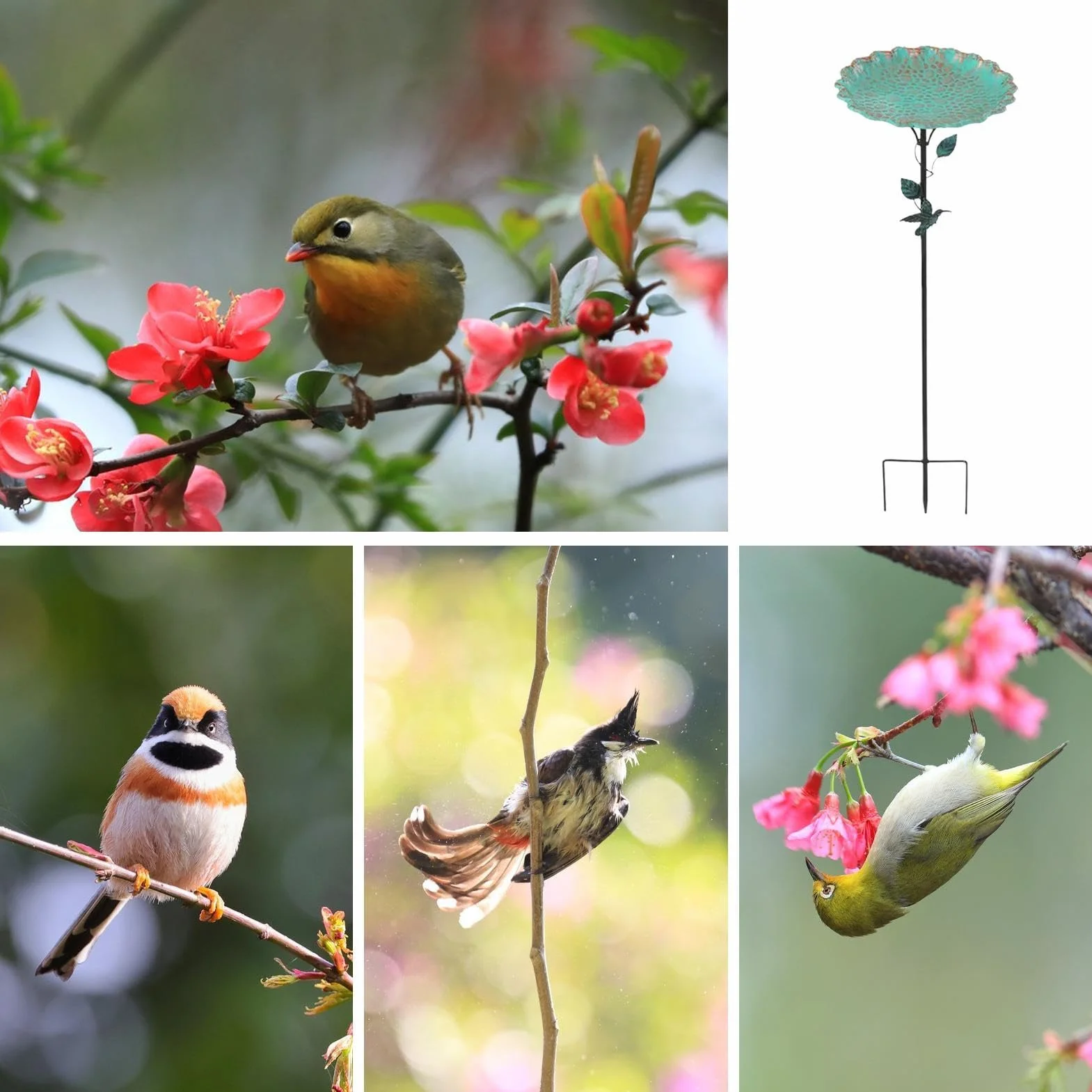 Bebedero para Pájaros de Metal con Soporte Estable y Resistente a la Corrosión para Decoración de Patio