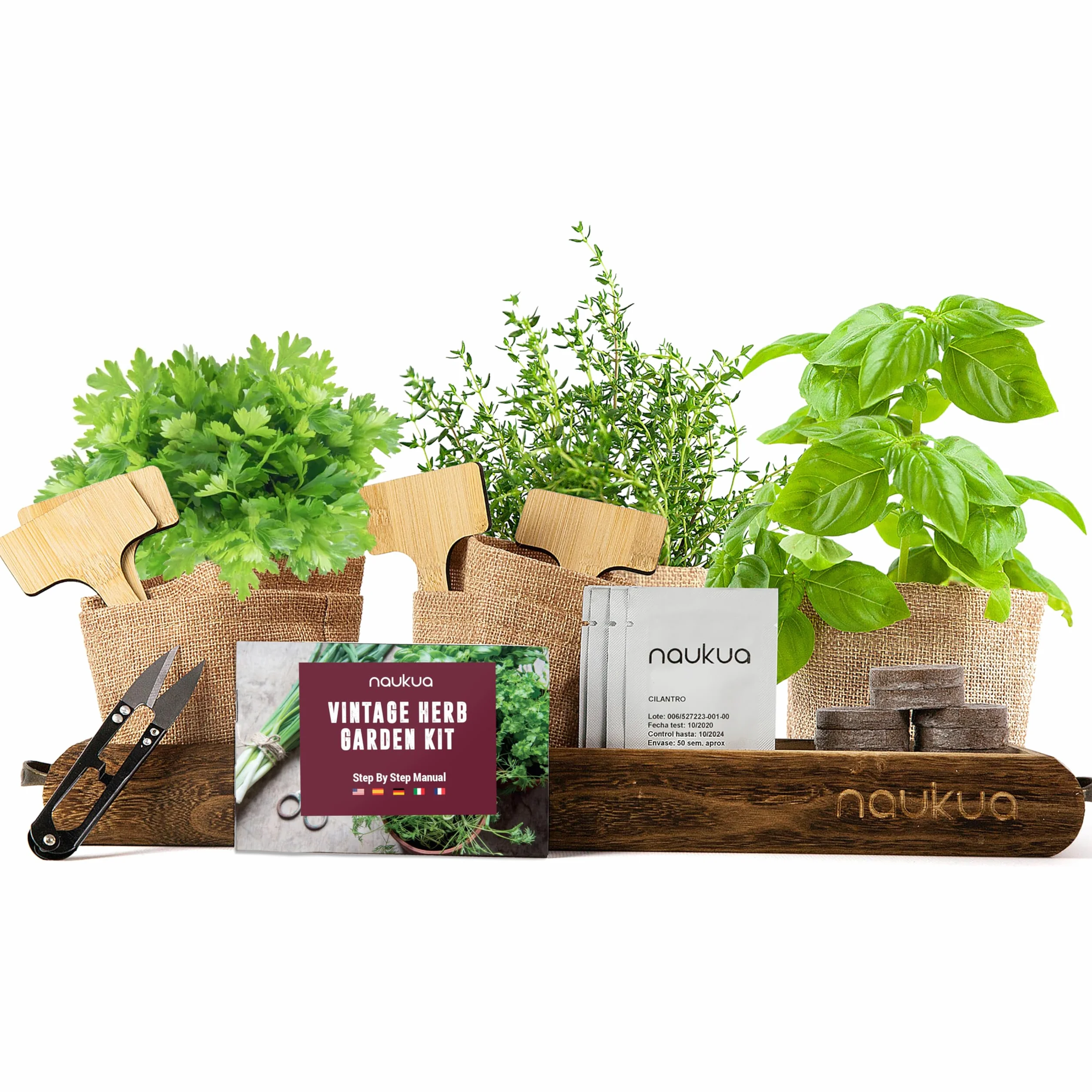 Mini Huerto Urbano Vintage Semillas Orgánicas España Kit Completo Hierbas Aromáticas Culinarias Tomillo Albahaca Perejil Cilantro