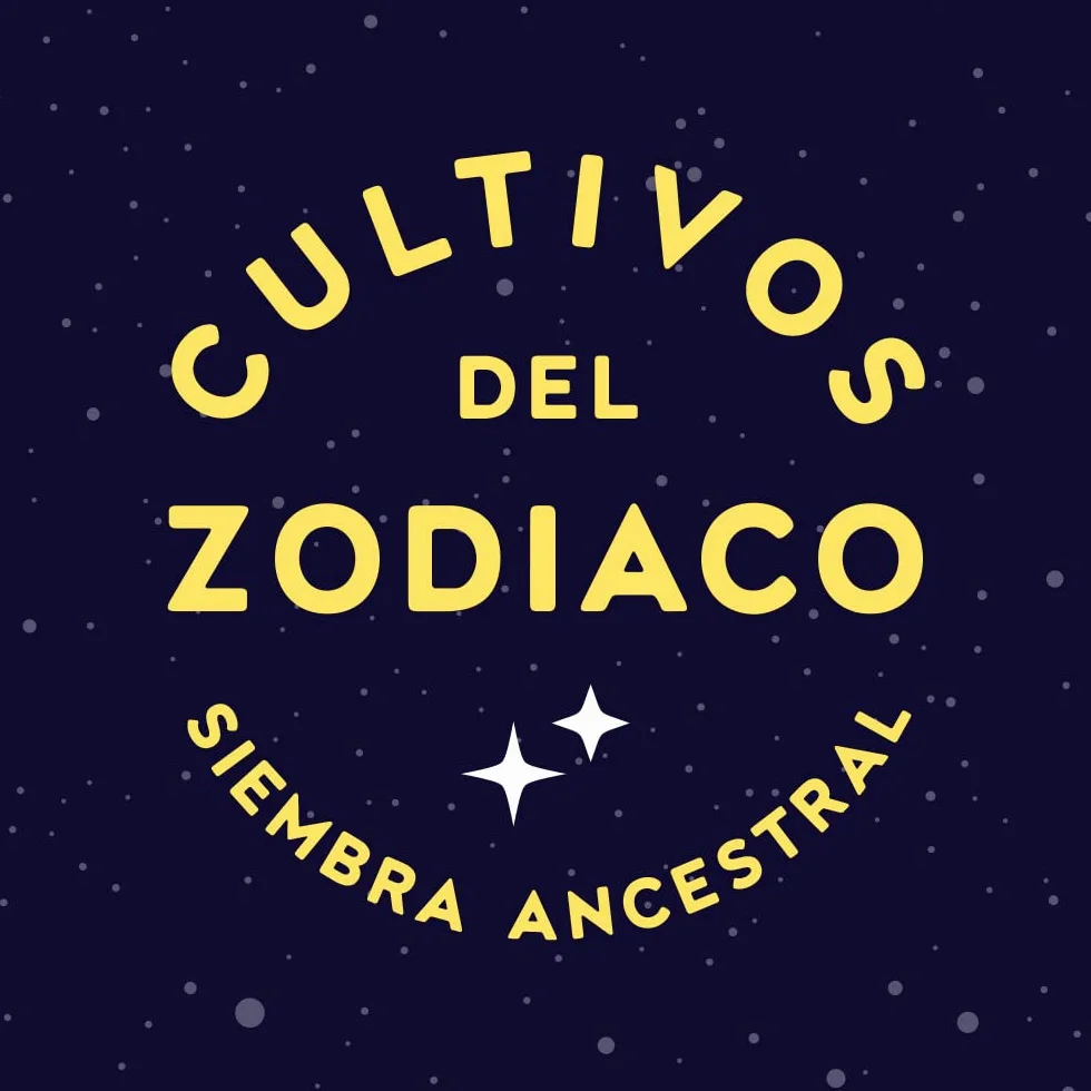 Cultivos del Zodiaco Géminis Semillas de Romero Kit de cultivo con bomba de semillas sustrato y maceta Regalo original horóscopo