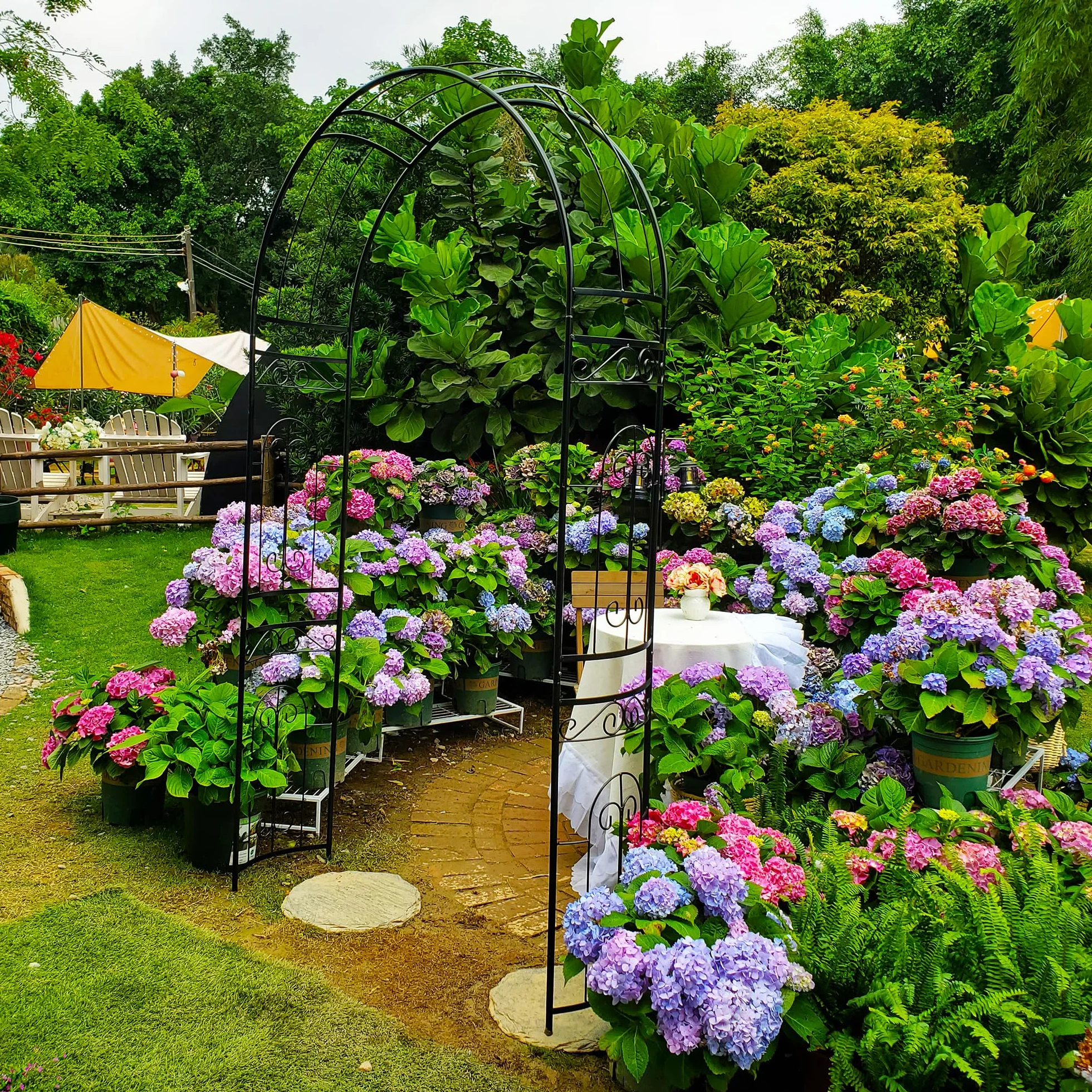 GARDEN Arco de jardín de Metal Negro 220x114x36CM Cenador Tubular para Rosas Plantas Trepadoras