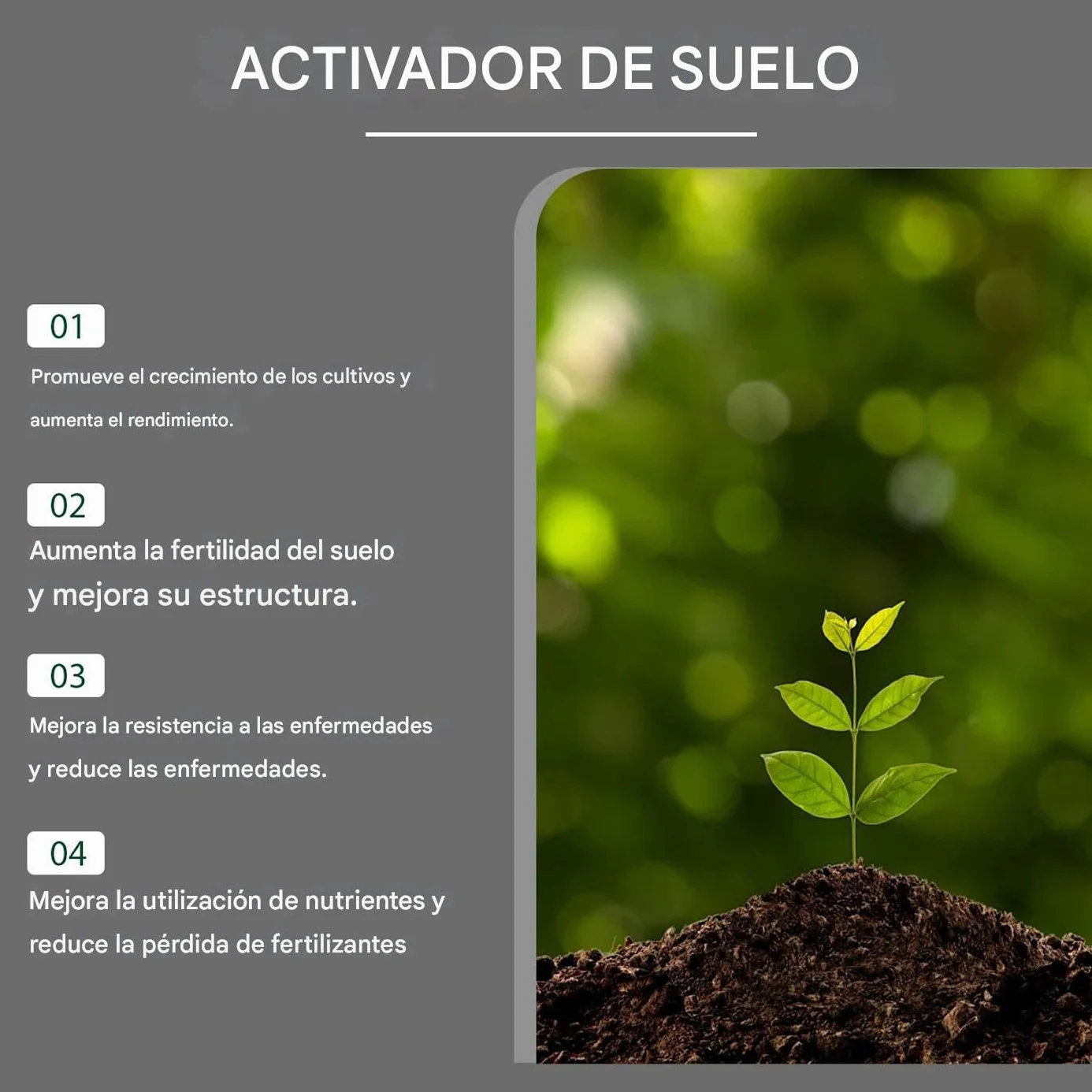 Activador de Suelo para Plantas Favorece el Crecimiento de Raíces para Jardín