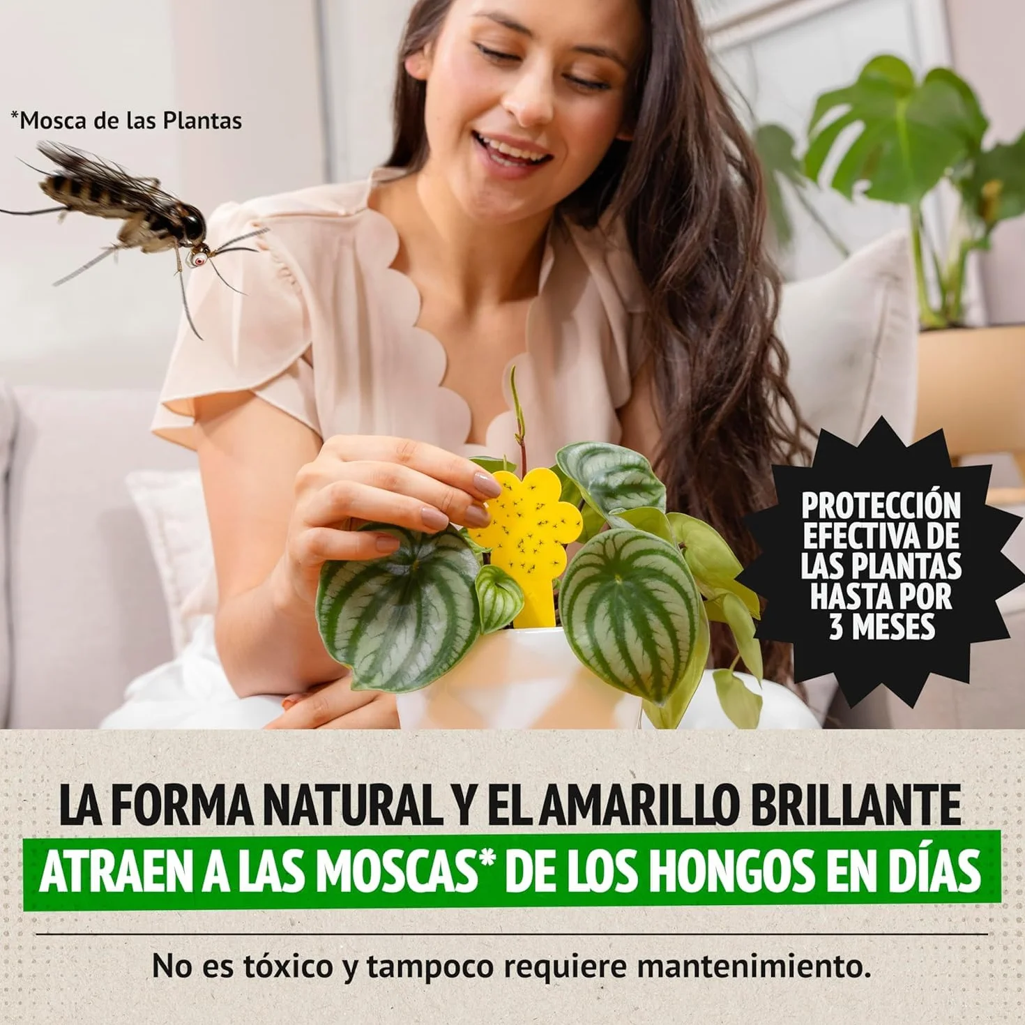 Trampas para Moscas Pack 30 Adhesivas Plantas Interiores No Tóxico Ecológico 3 Meses