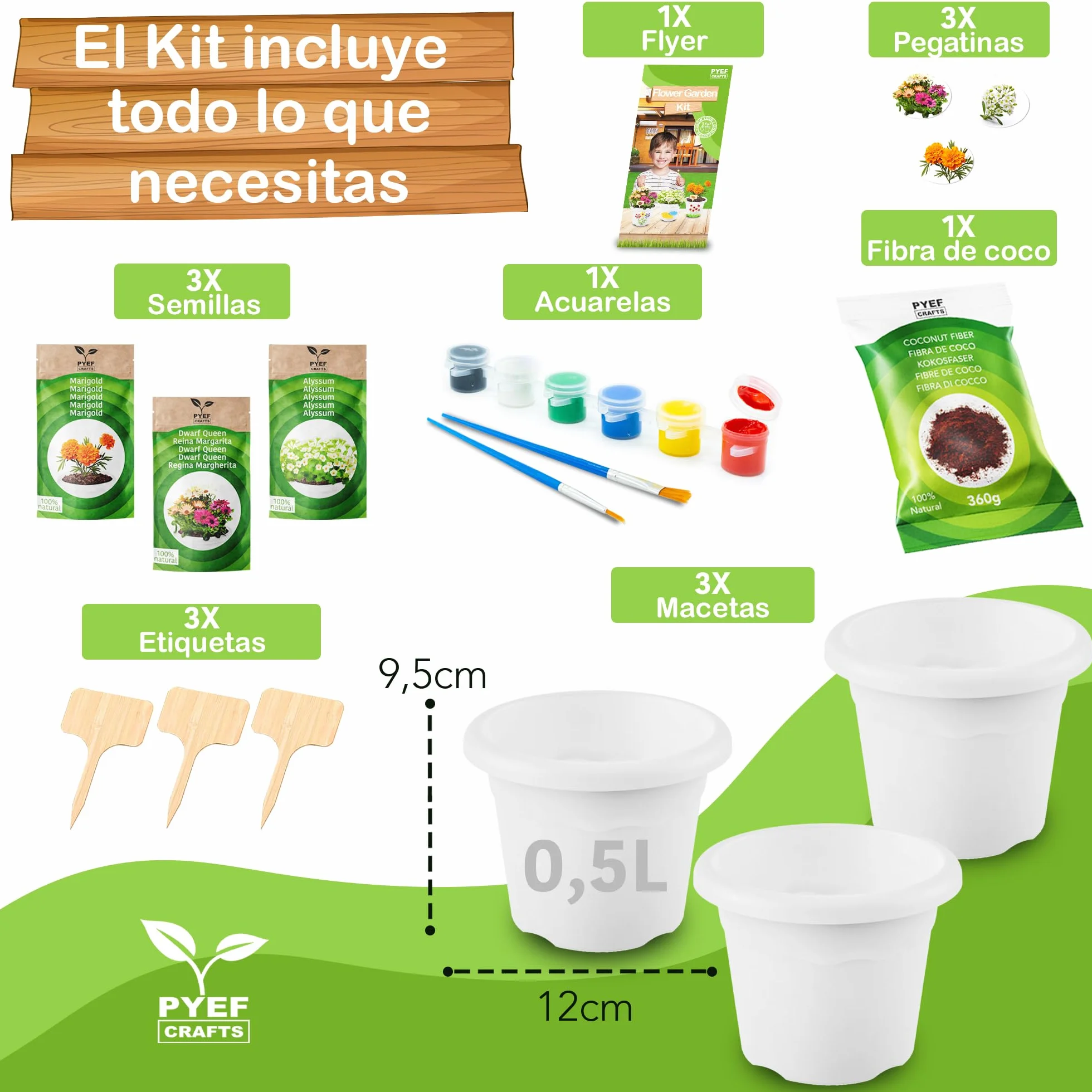 PYEF CRAFTS Kit Cultivo Flores Pinturas para Niños - Huerto Urbano Manualidades Juguetes 3-10 años