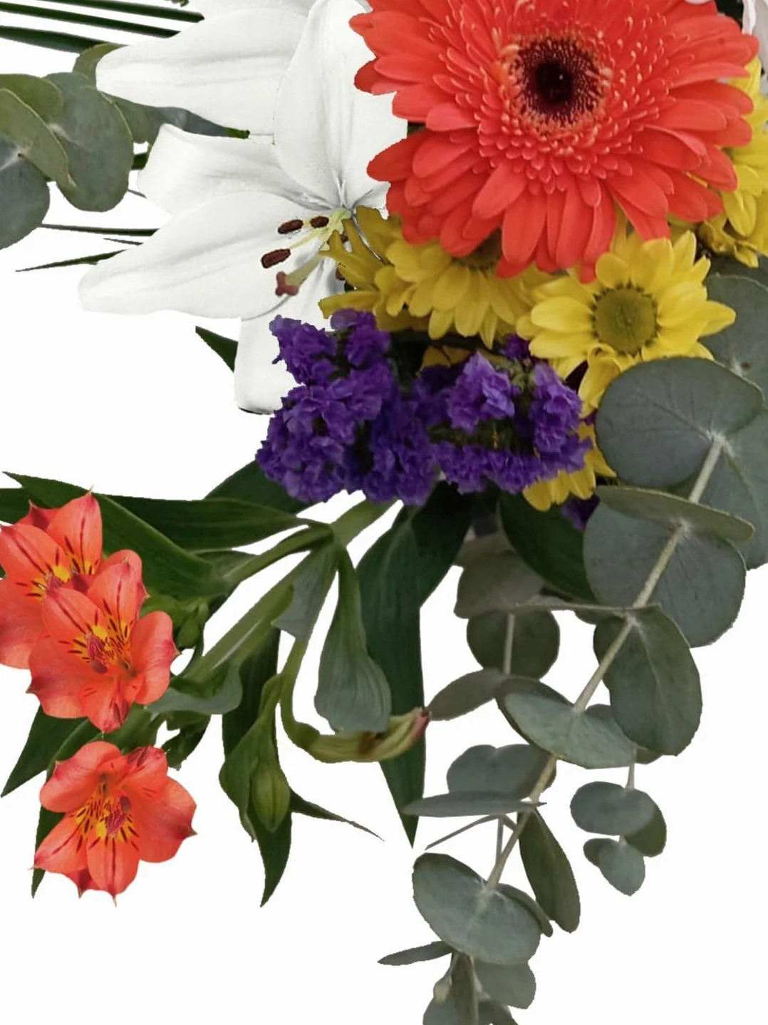 Ramo Flores Anita JARDIN202 Flores Naturales 24 Horas