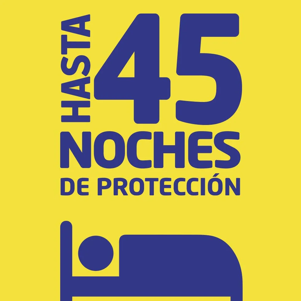Bloom Líquido Recambio Pack 4 Insecticida Eléctrico Antimosquitos Mosquitos Común Tigre Fórmula Concentrada Sin Perfume