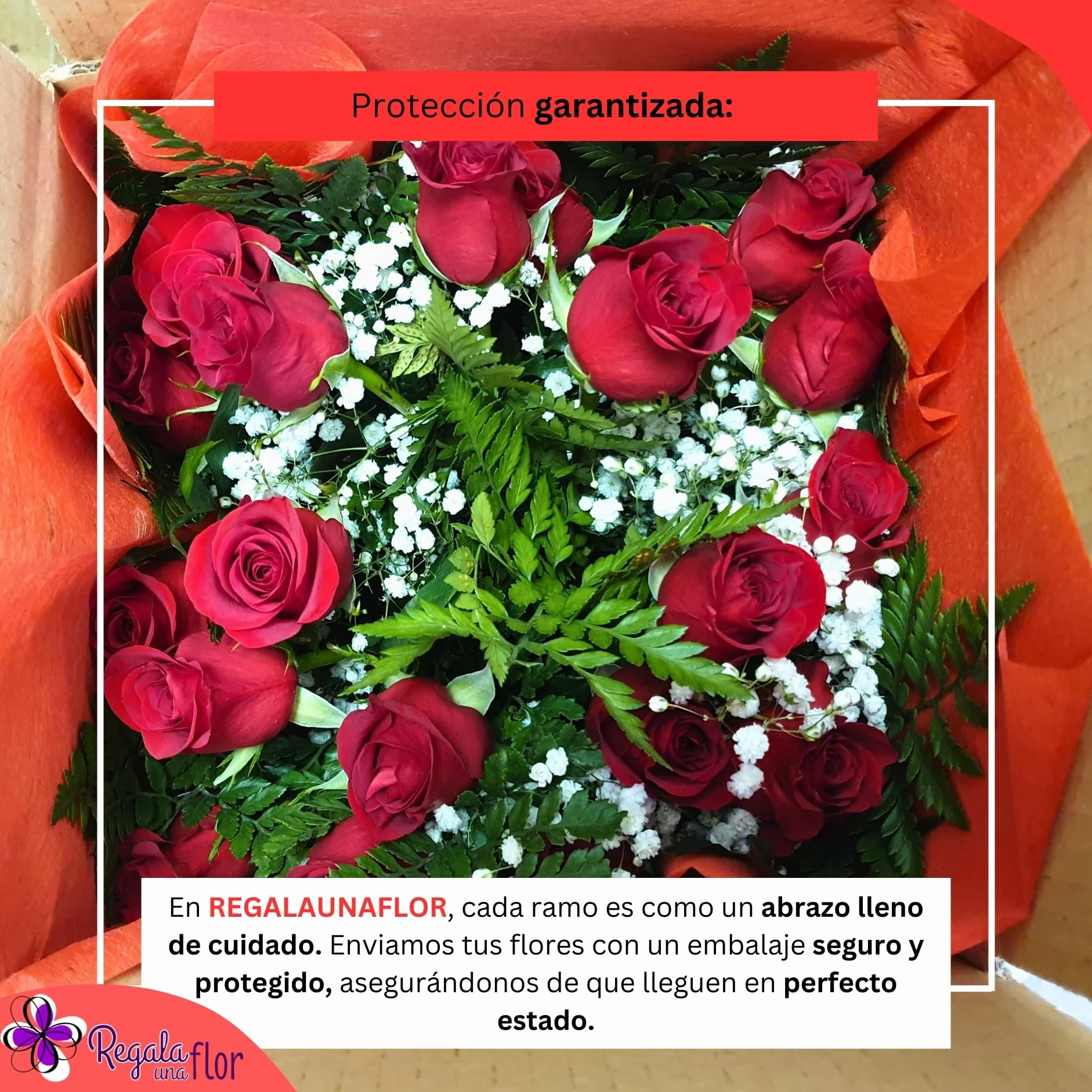 Ramo de 20 rosas rojas naturales a domicilio con tarjeta dedicatoria