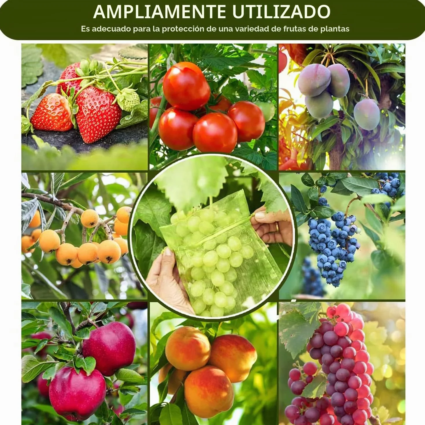Bolsas para Proteger Uvas 20 x 30 cm, 100 Piezas