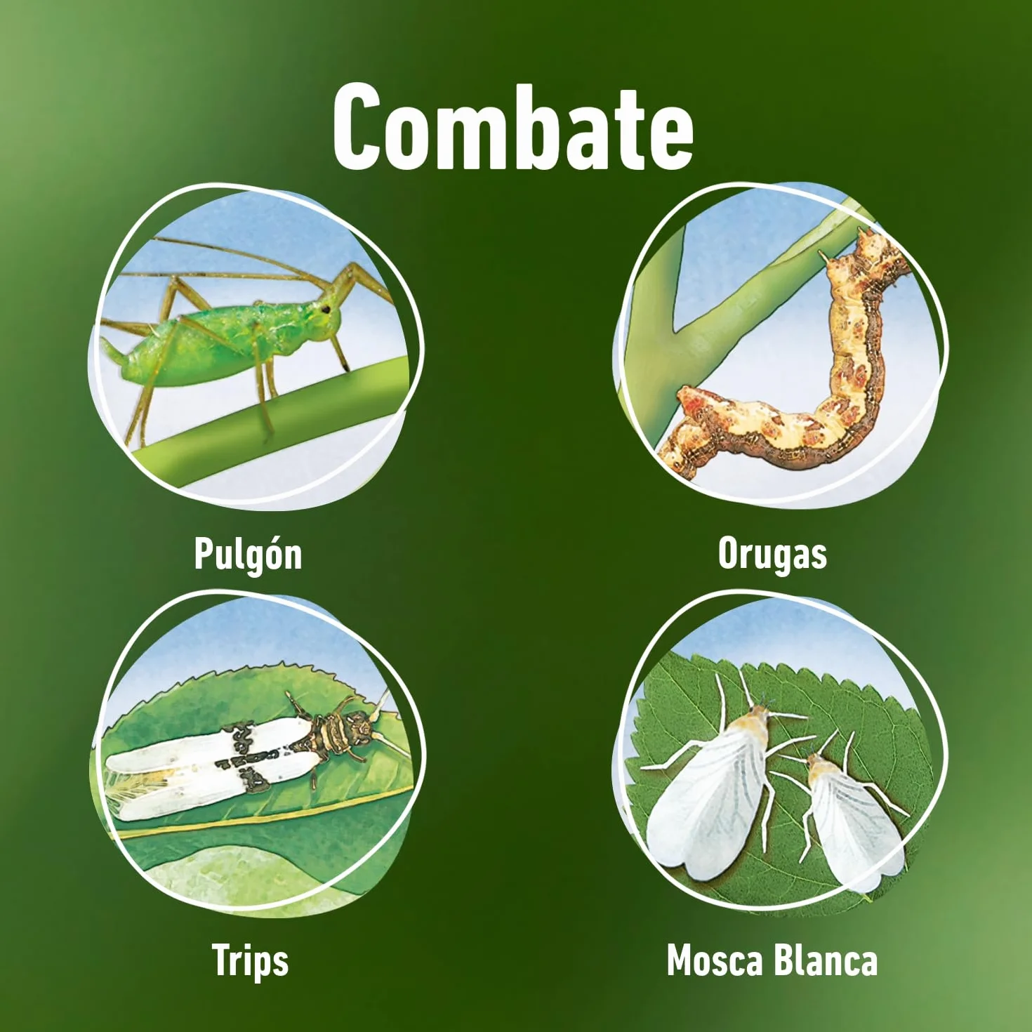 COMPO Axiendo Insecticida ultrapolivalente 750 ml
