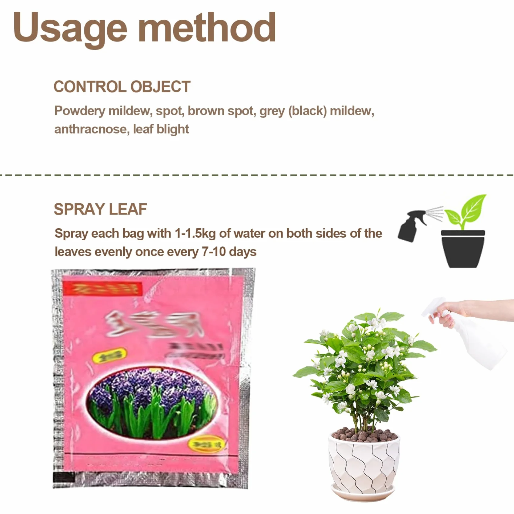 Hormona de enraizamiento | 10PCS 10g Polvo de ácido naftalenacético para esquejes de plantas