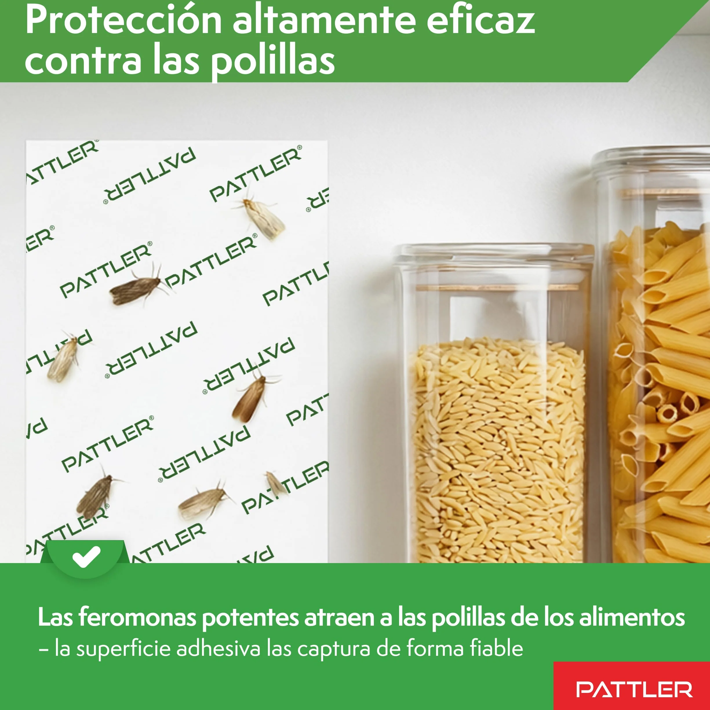 PATTLER Trampa polillas Alimentos 12 uds. Antipolillas Cocina despensa Captura polillas