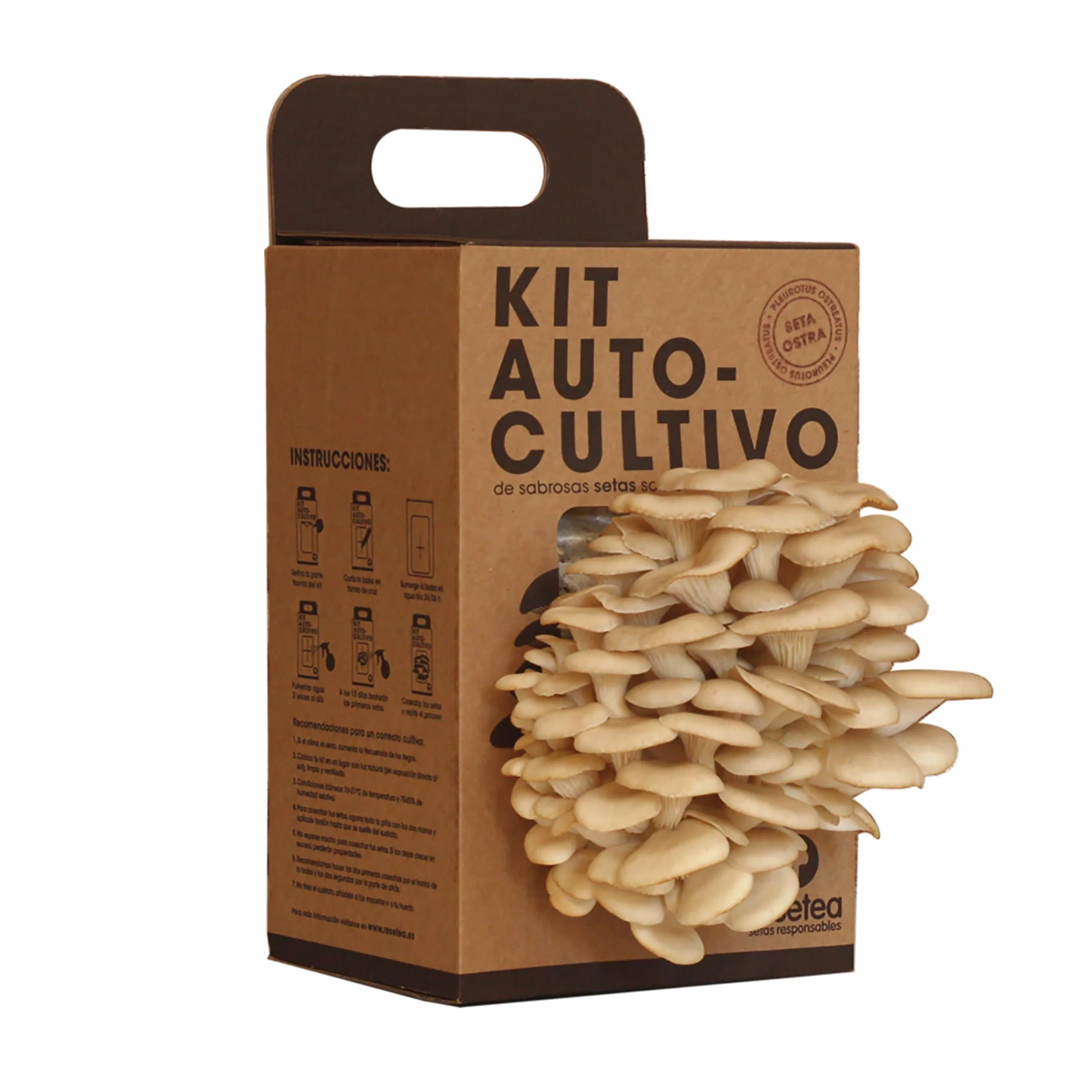 Kit Cultivo de Setas Ostra Gourmet Listas en 15 Días Cultiva Tus Propias Setas Frescas