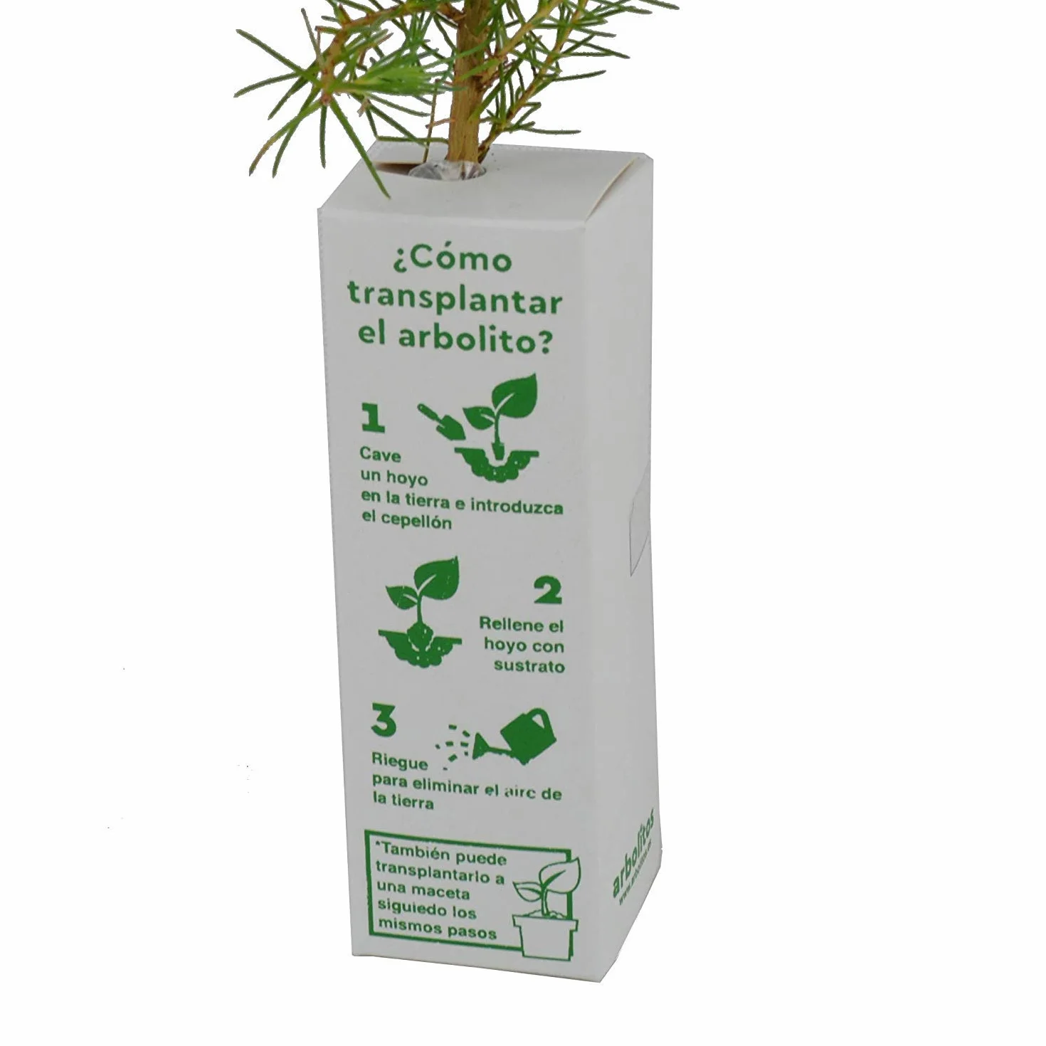 Granado Enano en Caja de Madera - Árbol Pequeño