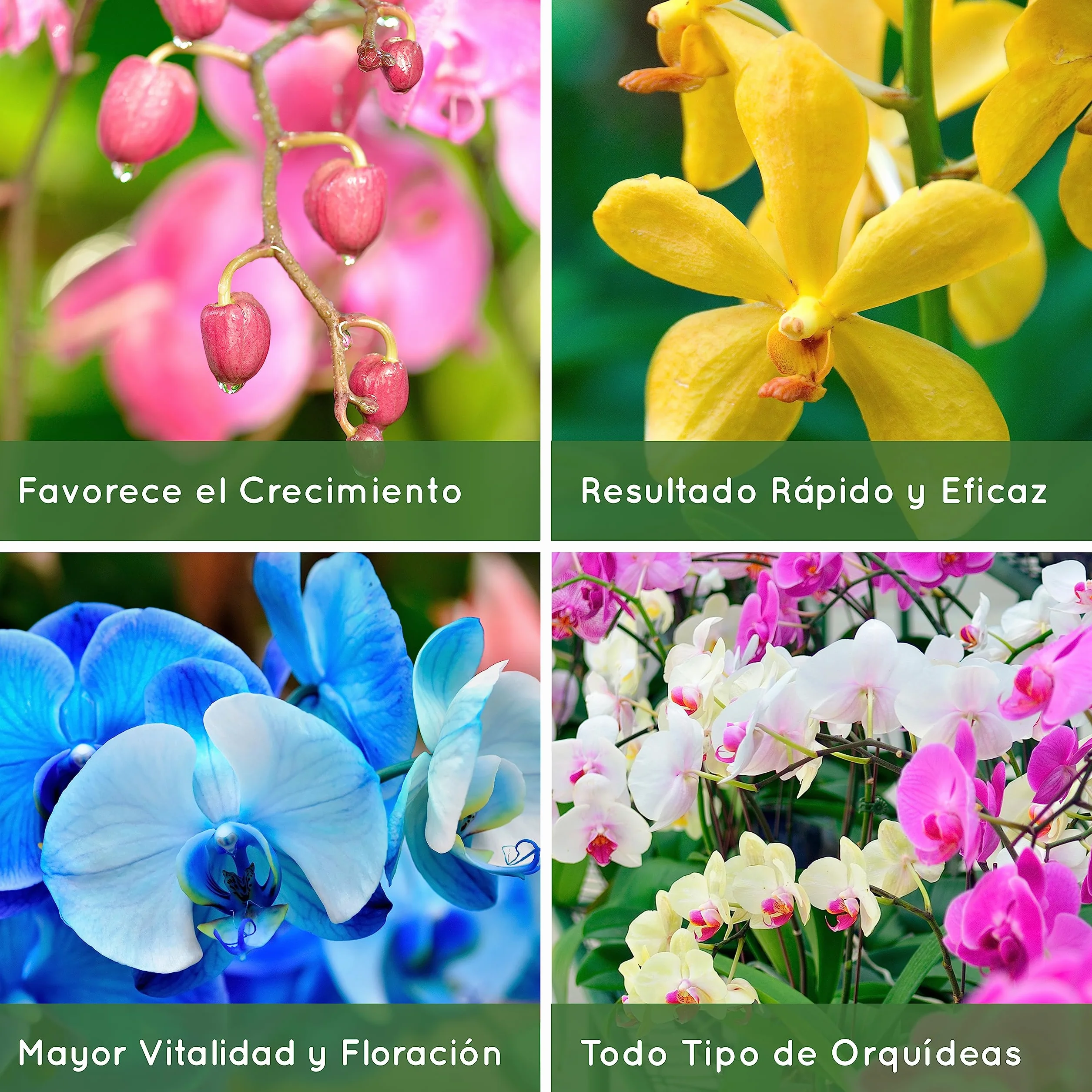 Abono Líquido Orgánico para Orquídeas 1L - Bioestimulante Floración y Crecimiento - Spray Listo Usar