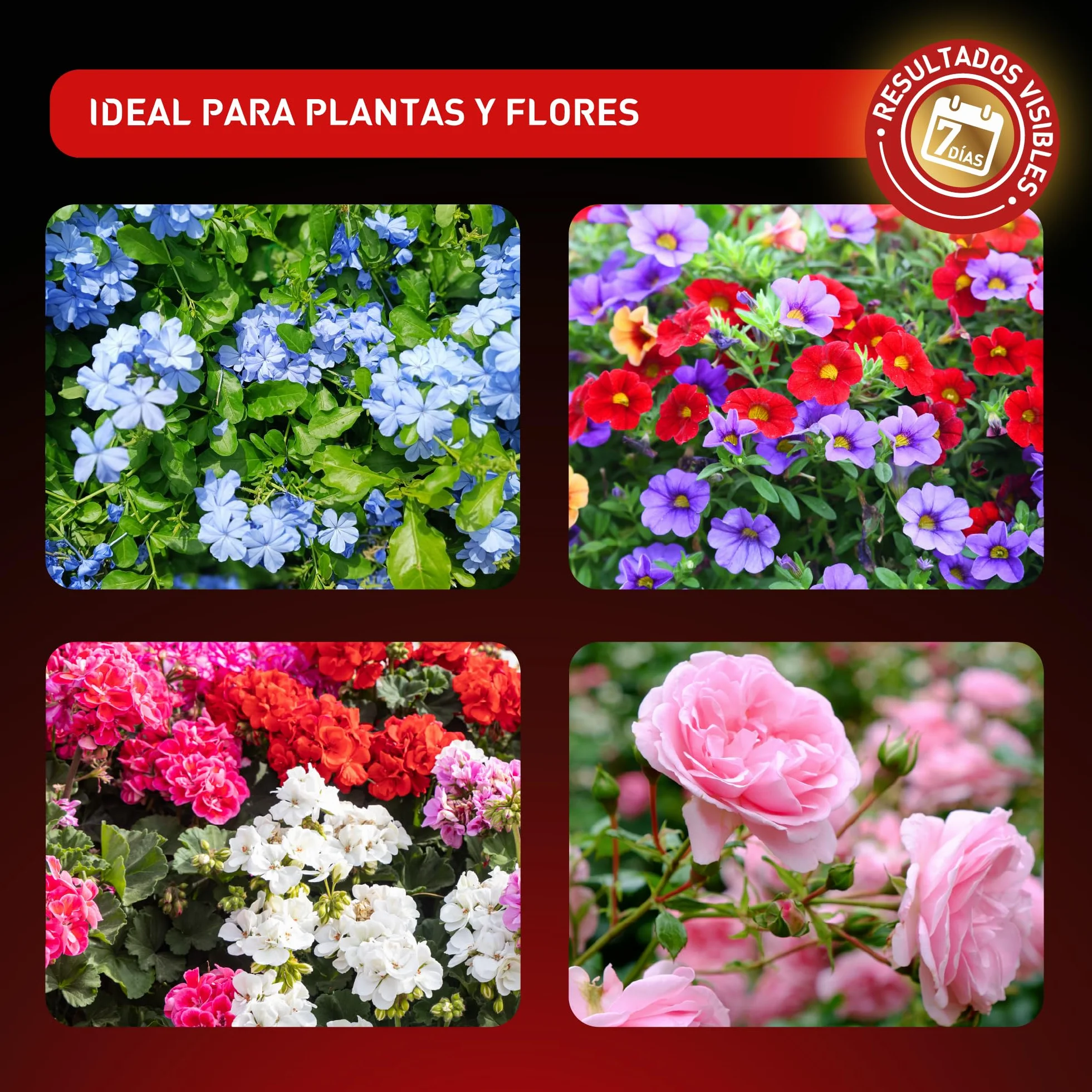 Abono líquido concentrado para Plantas y Flores Fertilizante Premium ingredientes naturales