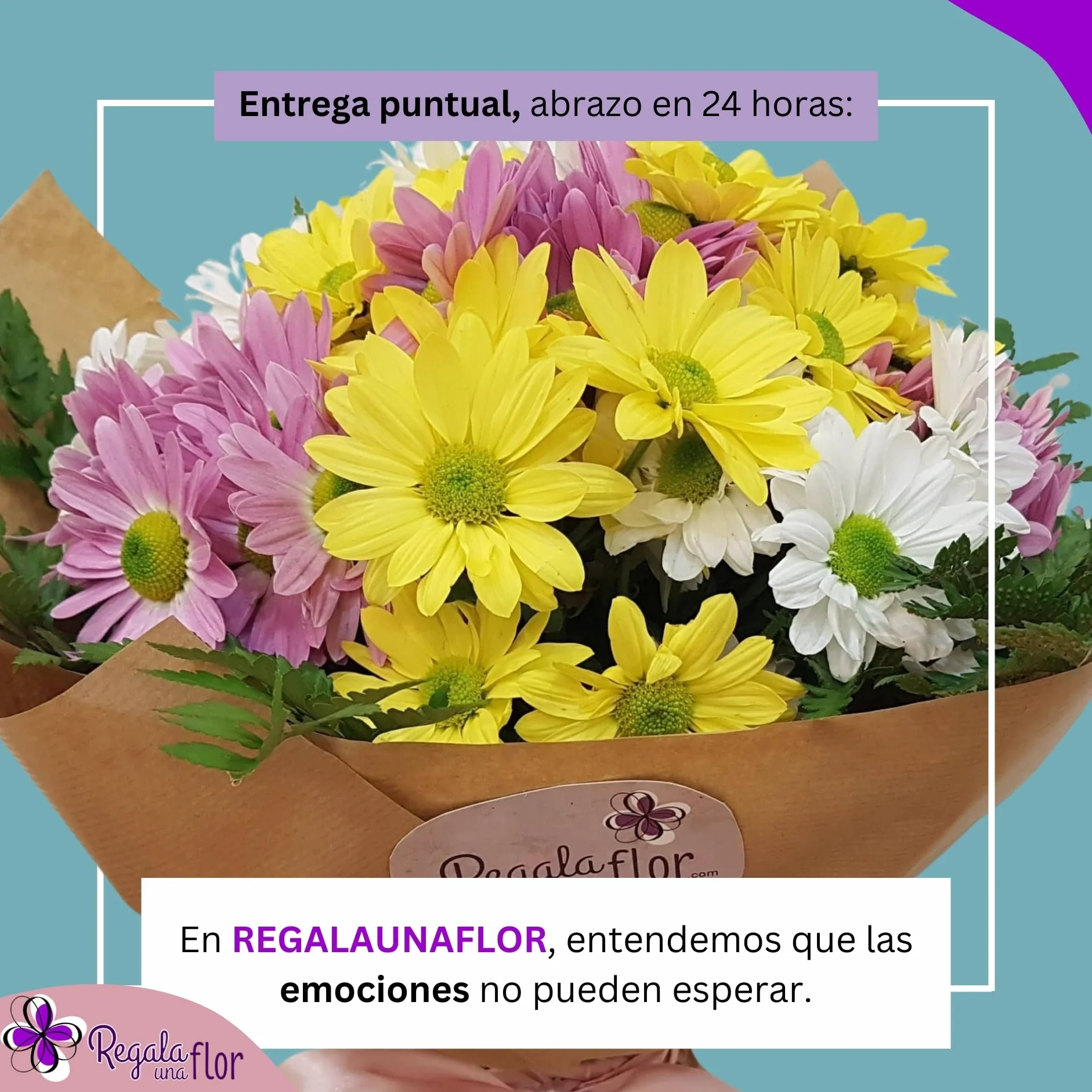 Ramo de flores naturales a domicilio Margaritas variadas con tarjeta de dedicatoria
