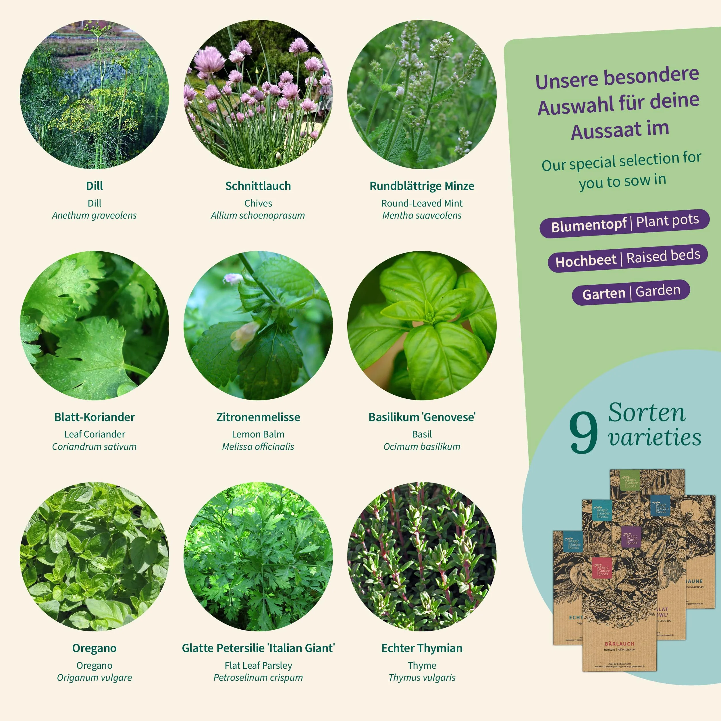 Magic Garden Seeds Maceta de hierbas mini jardín de hierbas balcón cocina caja semillas 9 hierbas aromáticas