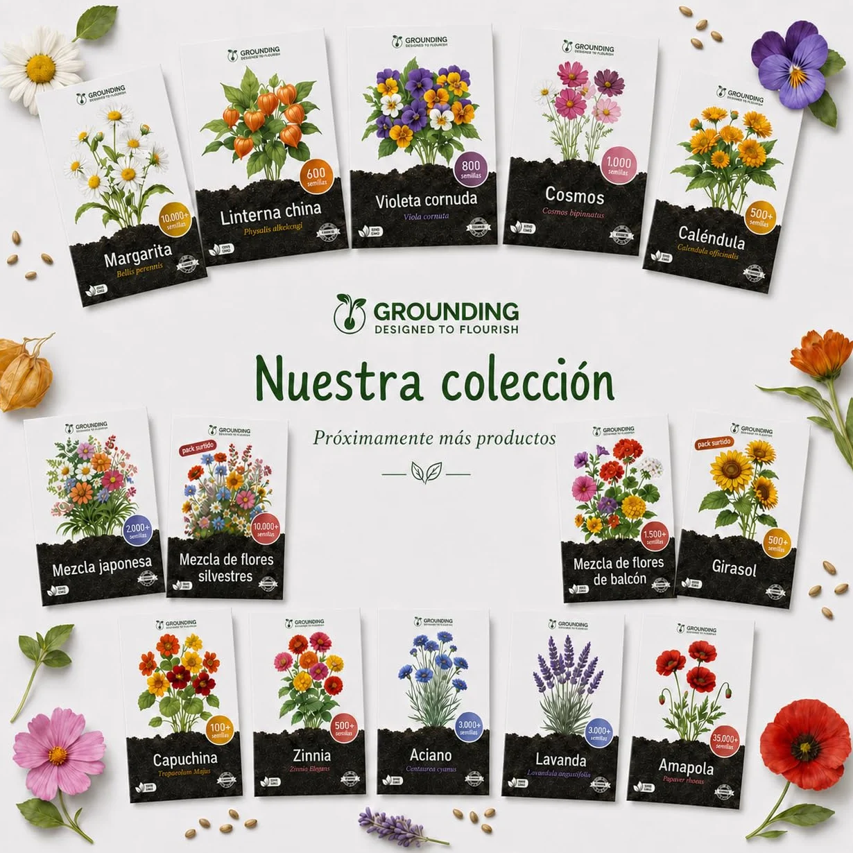 Semillas de Lavanda Lavandula angustifolia 3000 semillas Aroma intenso flores violetas para jardín y macetas Calidad Europea