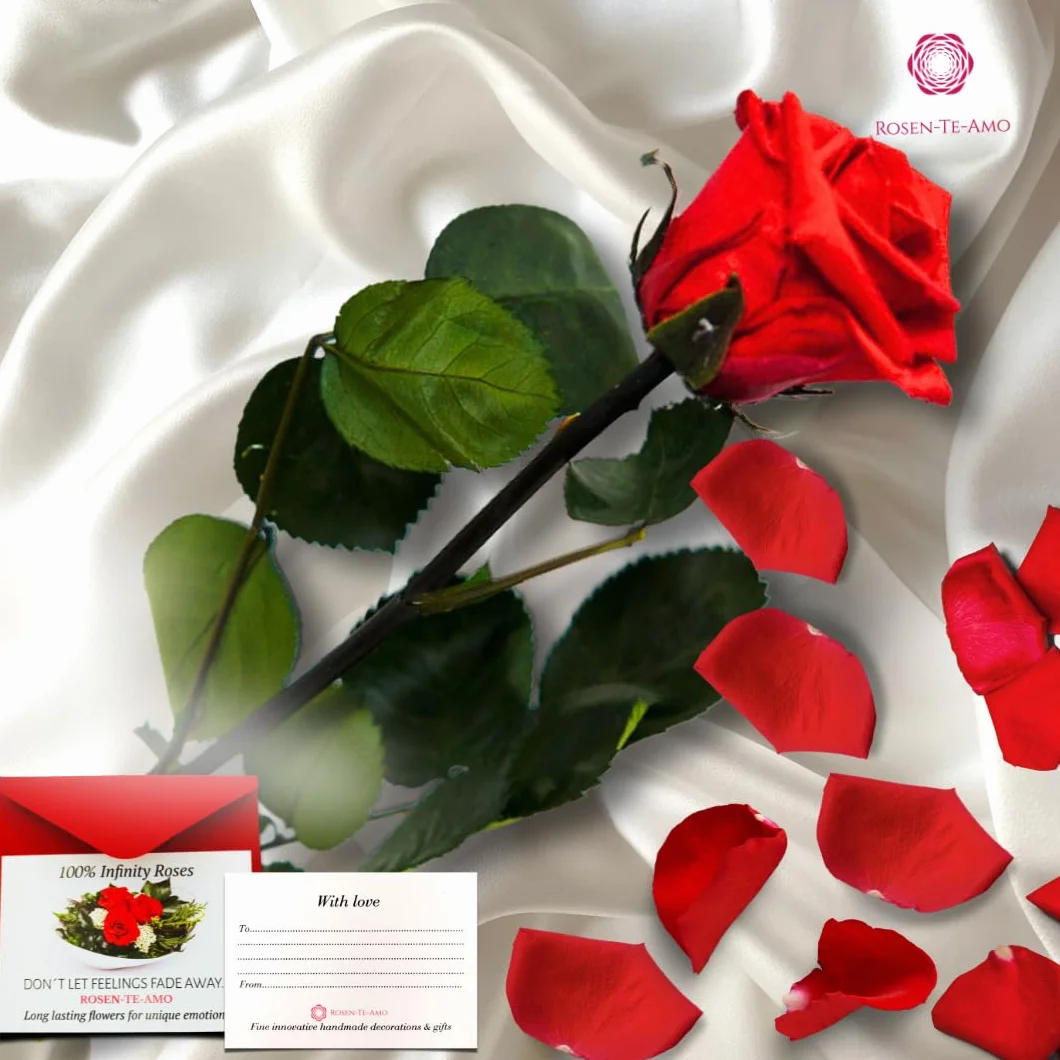 Rosa eterna preservada roja caja regalo design refinado flores naturales domicilio decoracion hogar