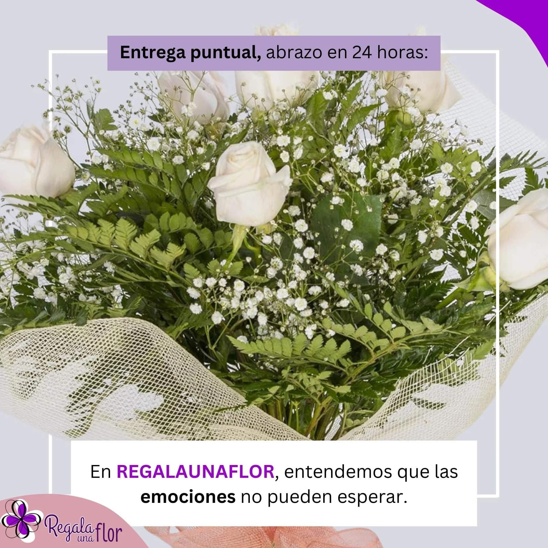 Ramo de flores naturales a domicilio 6 Rosas blancas con tarjeta de dedicatoria