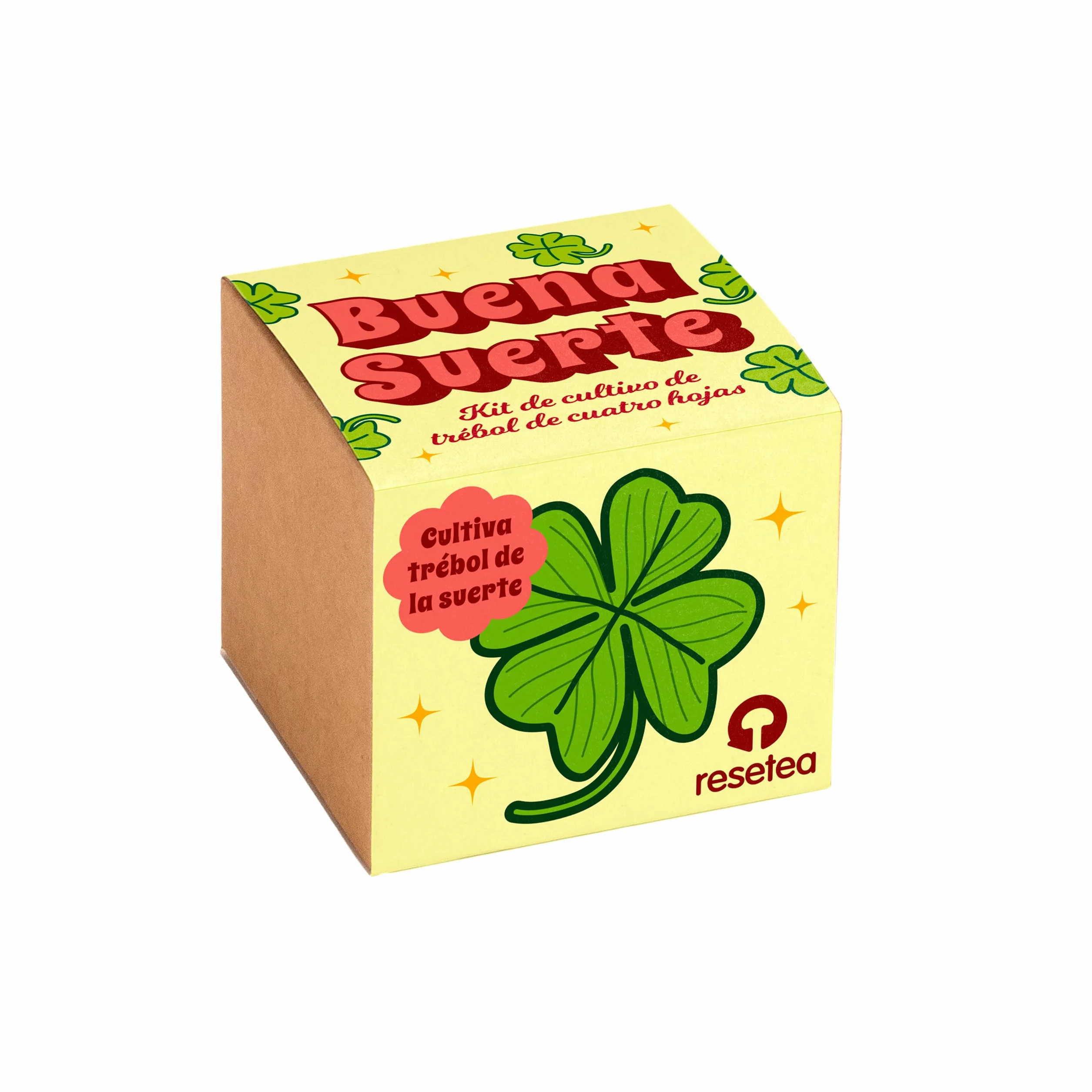 Oxalis Deppei Kit Cultivo Trébol 4 Hojas Planta Natural Suerte Amuleto Vivo
