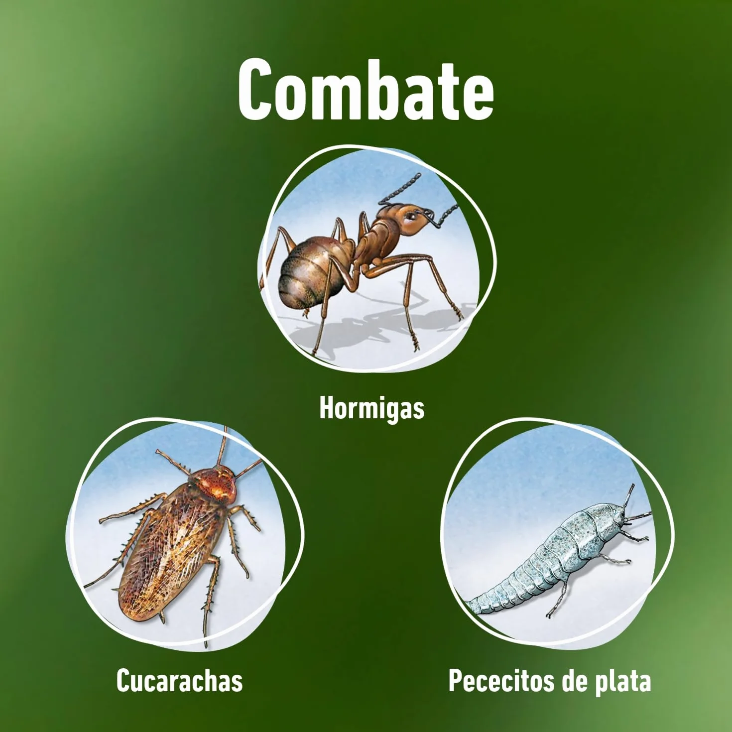 COMPO Antihormigas Pistola 750 ml Envase pulverizador Uso doméstico Hogar jardín