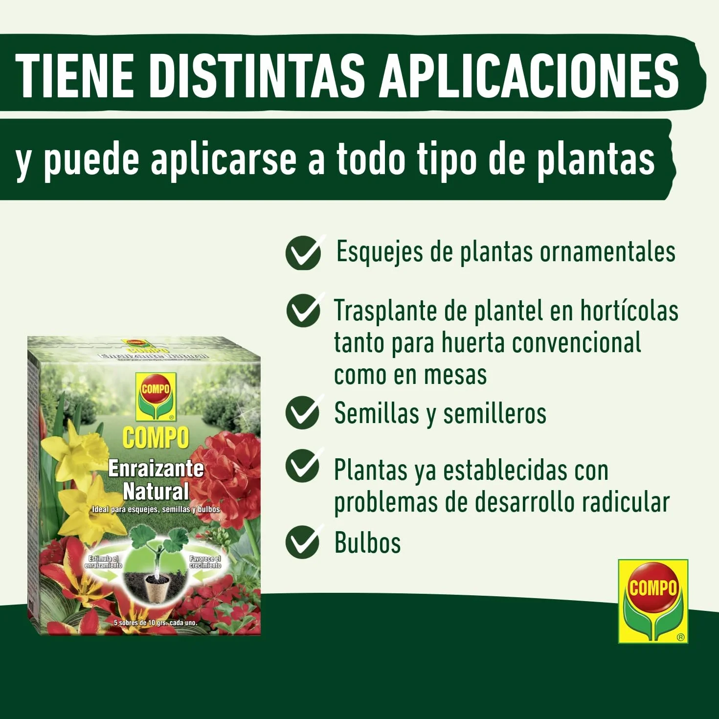 COMPO Enraizante natural 5 sobres 10 g para esquejes semillas bulbos agricultura ecológica