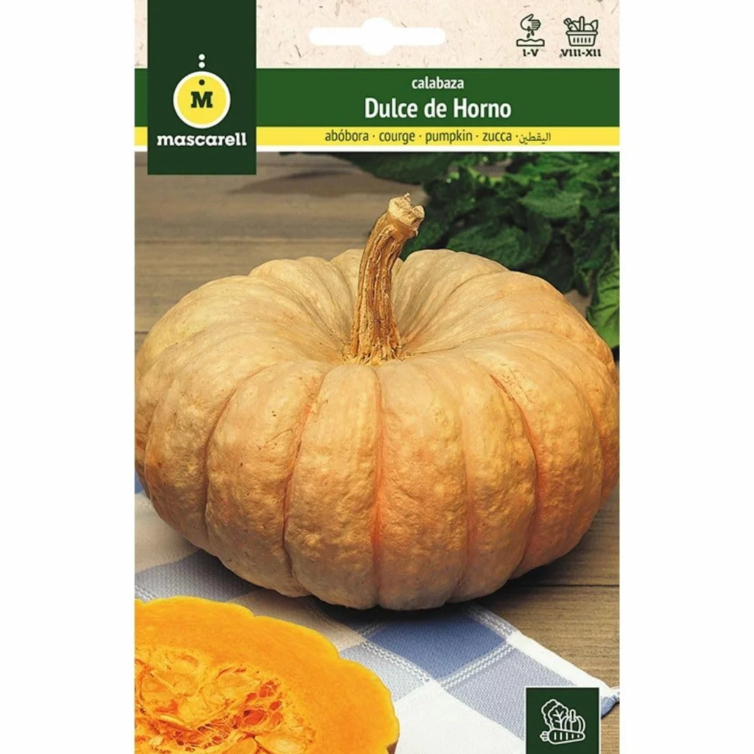 Mascarell Semillas Calabaza Dulce de Horno Totanera 4g Huerto Urbano