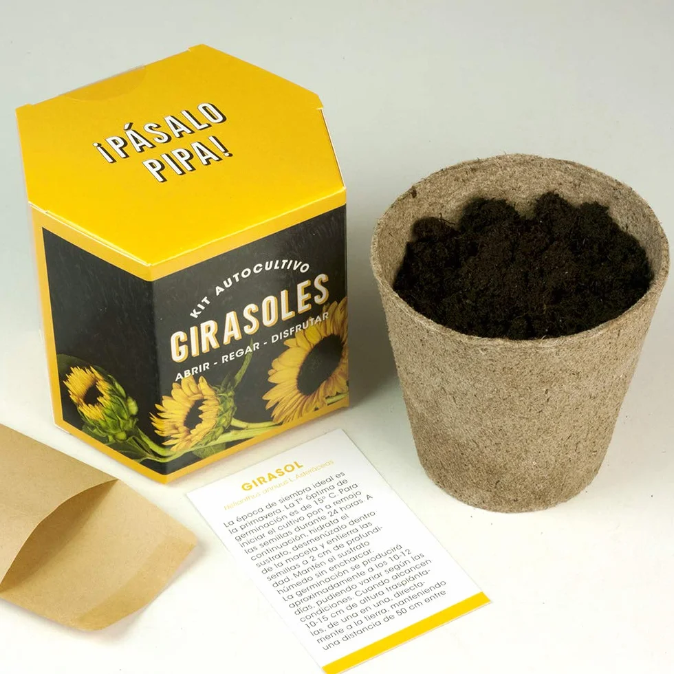 Kit Autocultivo Girasoles Cultiva en Casa Regalo Original Niños Adultos