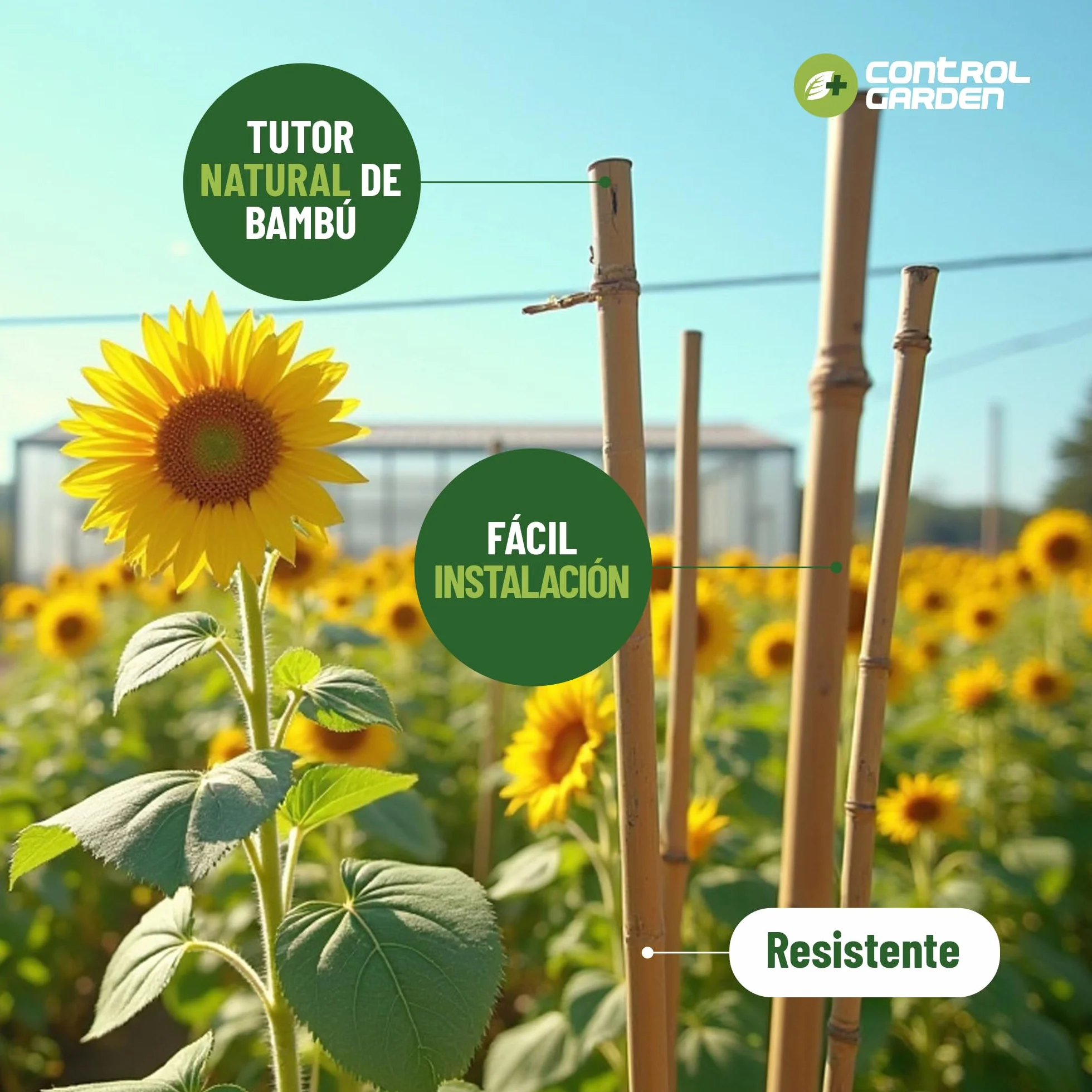 Control Garden Pack 30 Unidades Tutor de Bambú Ecológico 180 cm Estaca Natural Caña Sujetar Plantas ø 10-12