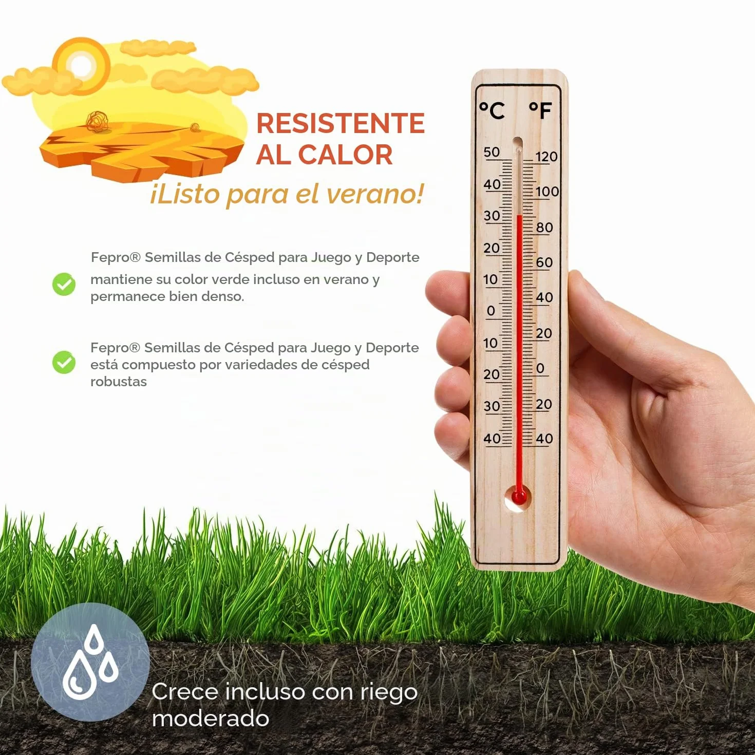 Semillas de césped 10 kg 400 m² germinación rápida deportes juegos verde intenso
