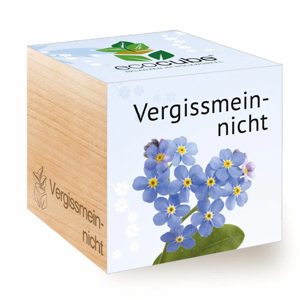 Feel Green Ecocube Forget-Me-Not, set de cultivo sostenible, plantas en cubos de madera, fabricado en Austria