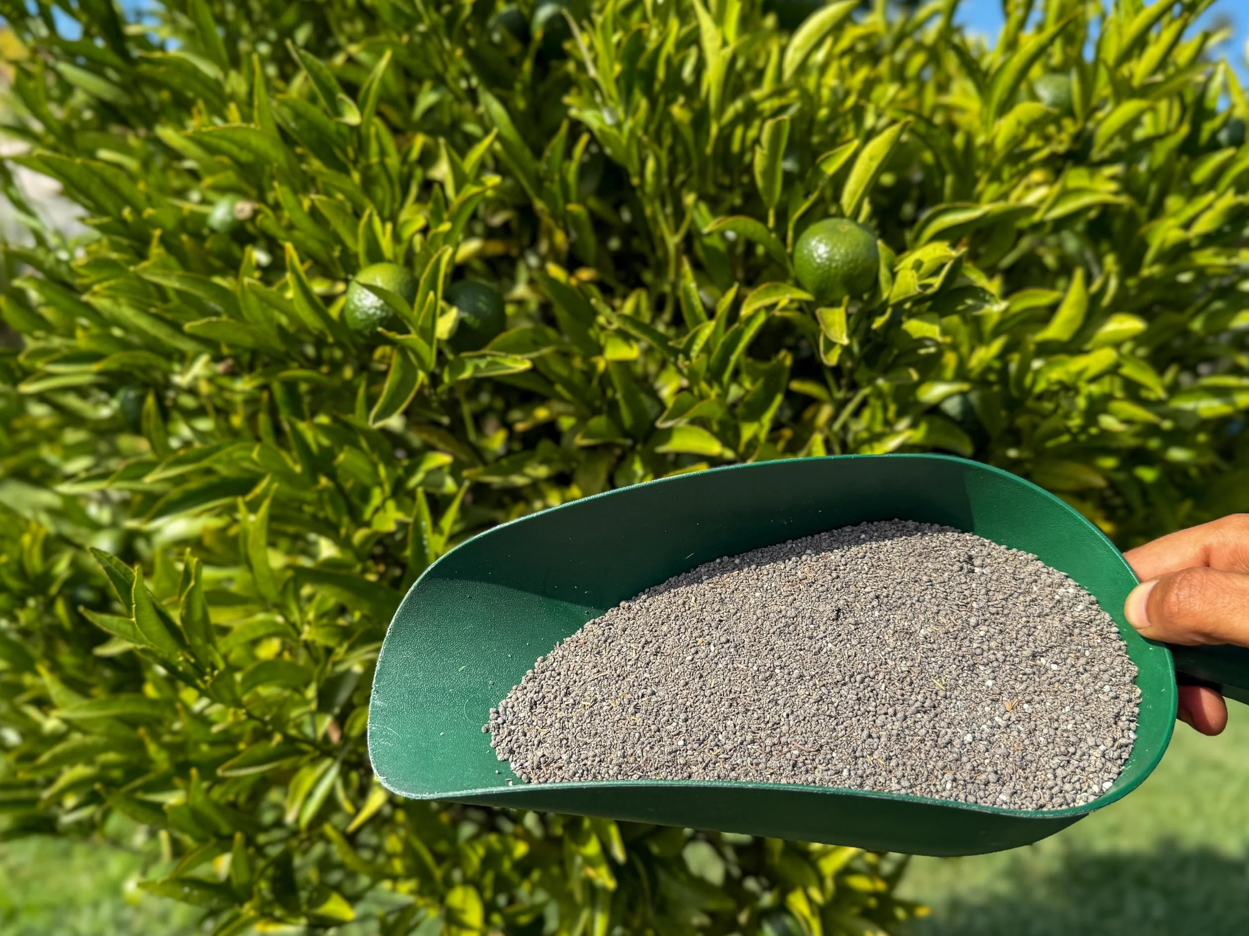 CULTIVERS Abono Cítricos Ecológico NPK 5 kg Hierro Magnesio Calcio Azufre 50% Materia Orgánica 34% Ácidos Húmicos