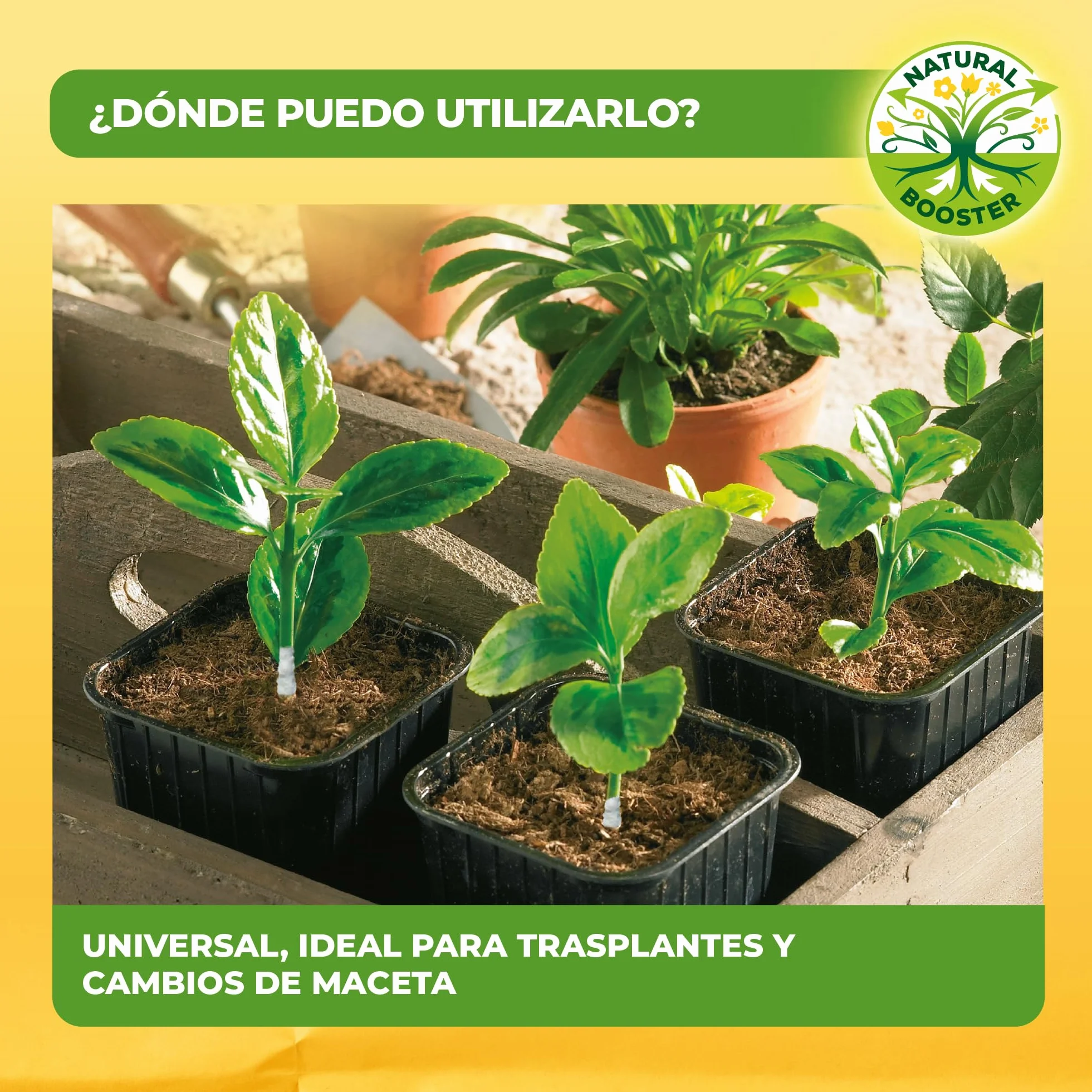 Solabiol Enraizante líquido orgánico para esquejes y plantas trasplantadas