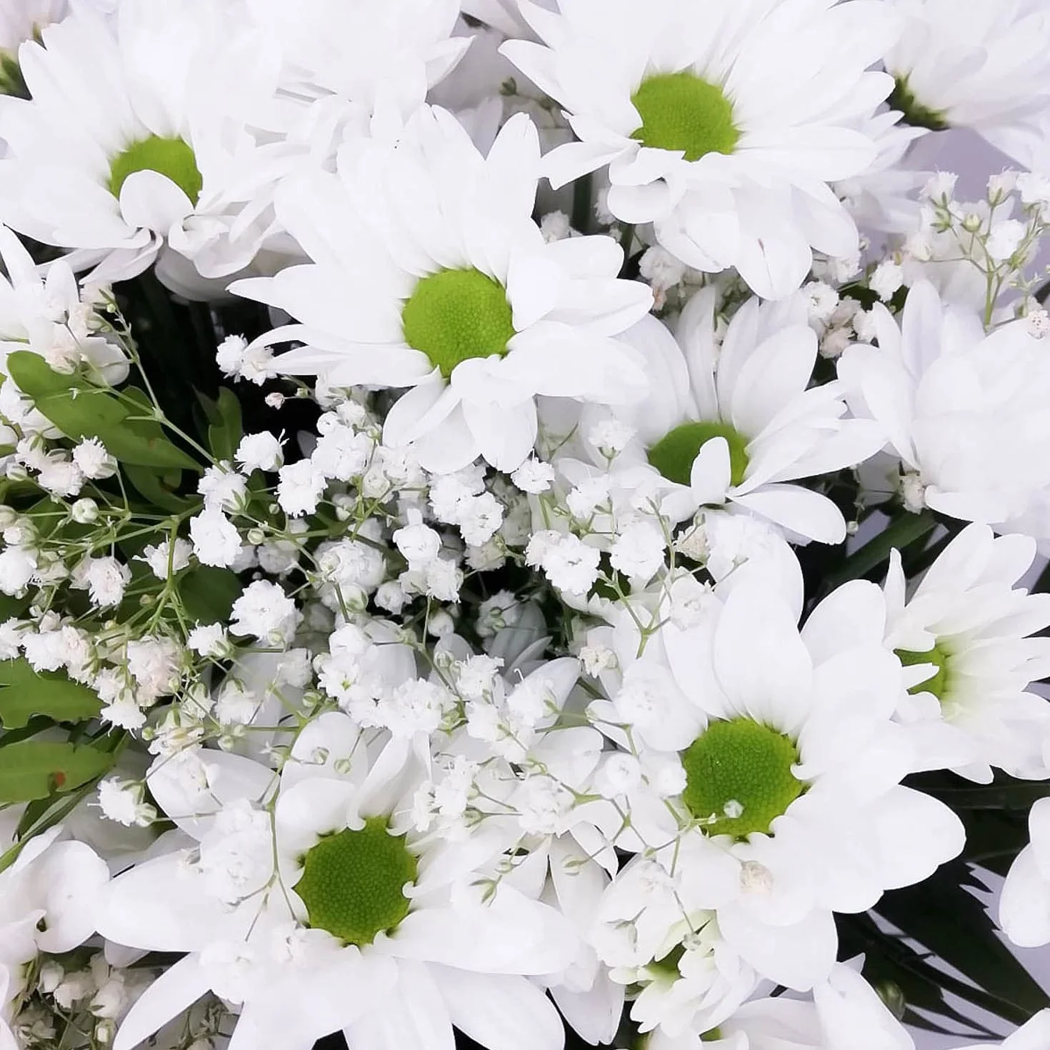 Ramo de flores naturales a domicilio Flores frescas Entrega gratis 24 horas Tarjeta dedicatoria Esperanza Blanco