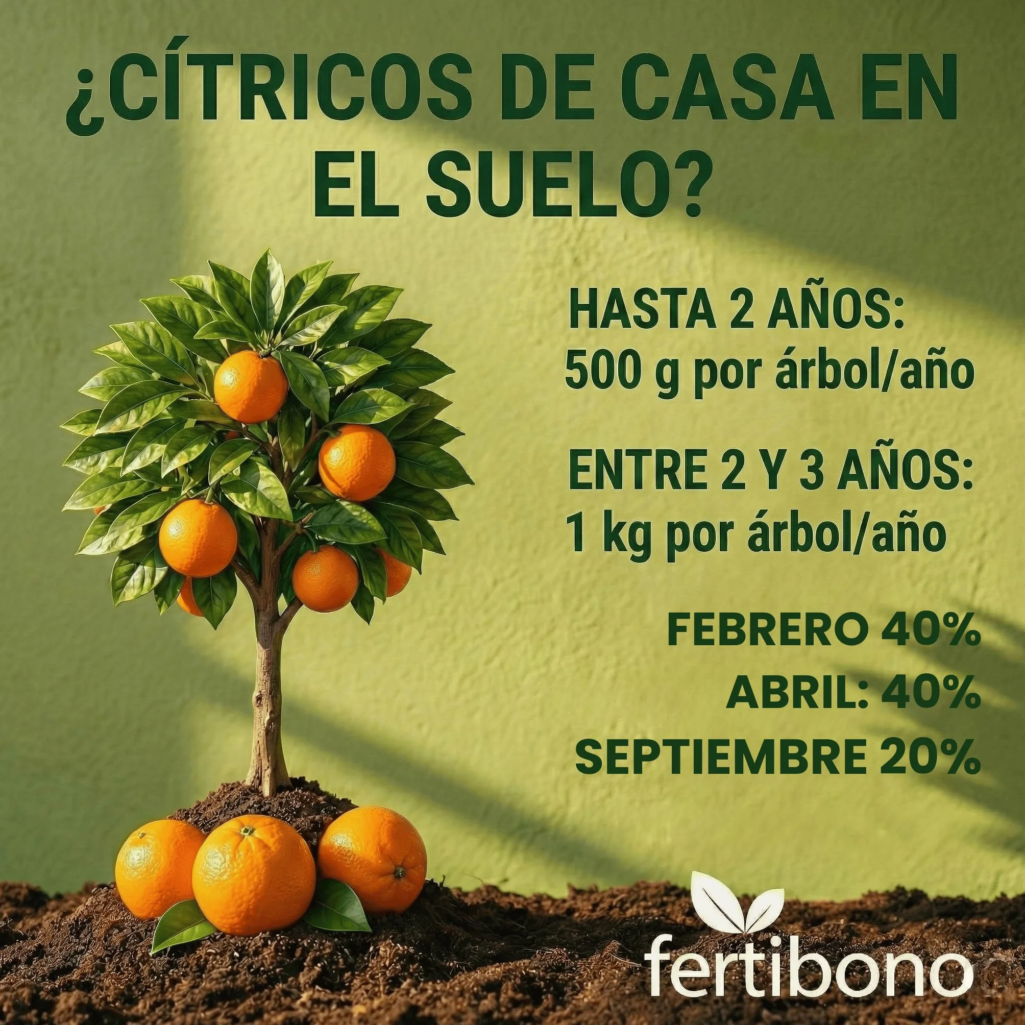 FERTIBONO Abono Cítricos 2KG 20-5-11 con Hierro Calcio Azufre Magnesio Manganeso