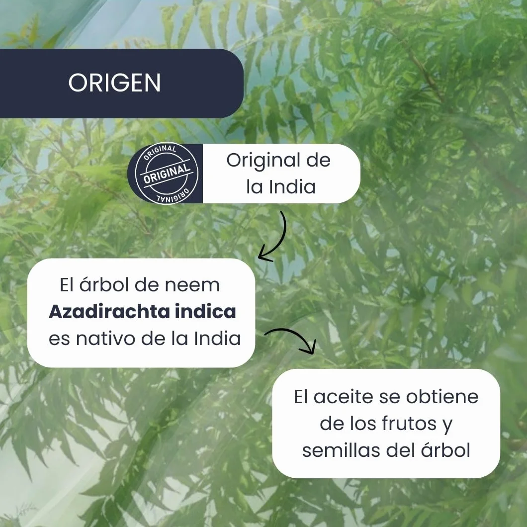 PLANTAWA Aceite de Neem 500ML Multiusos Natural