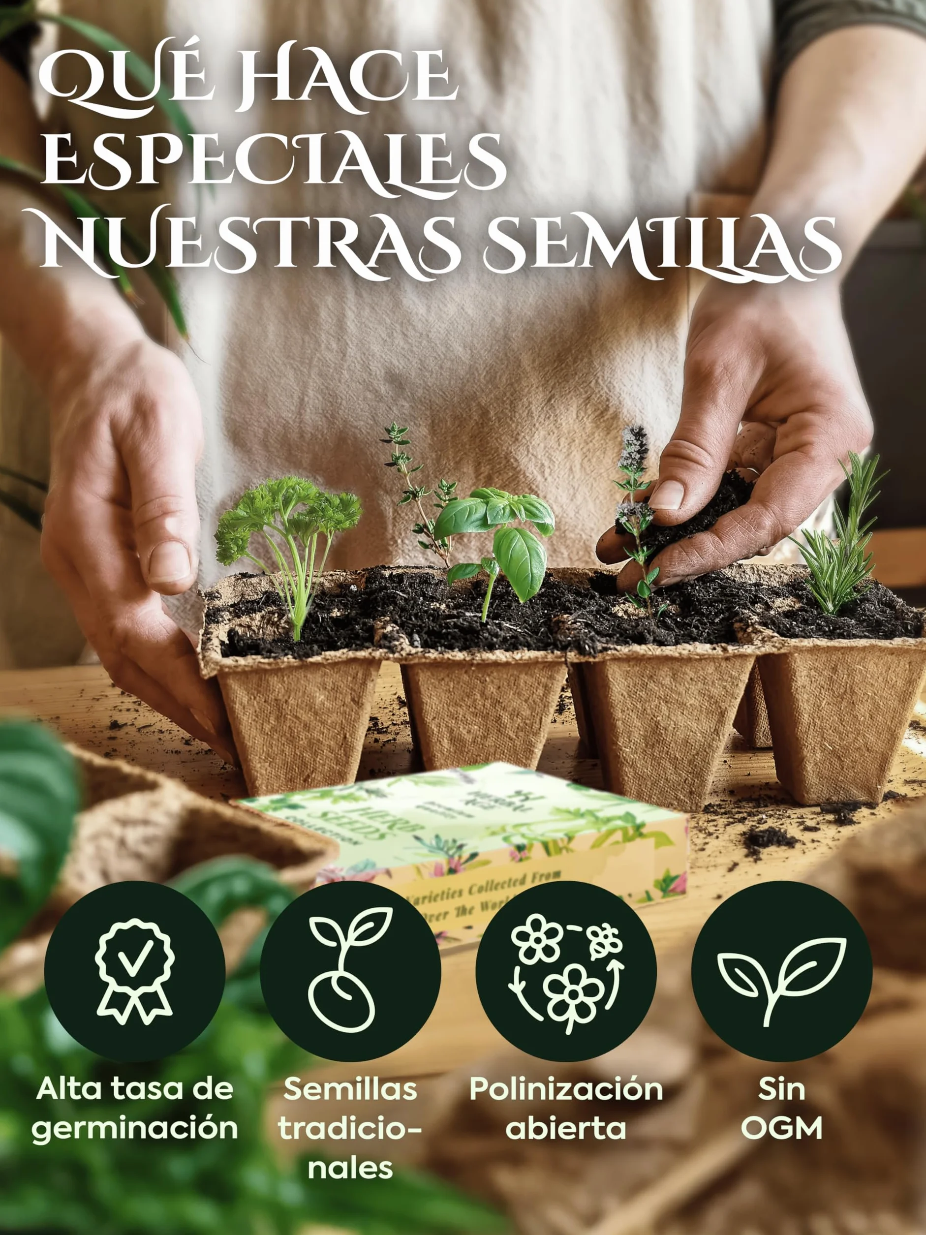 Kit Plantas Aromáticas 12 Variedades – 8700 Semillas Hierbas Frescas para Cultivar en Casa Interior, Jardín