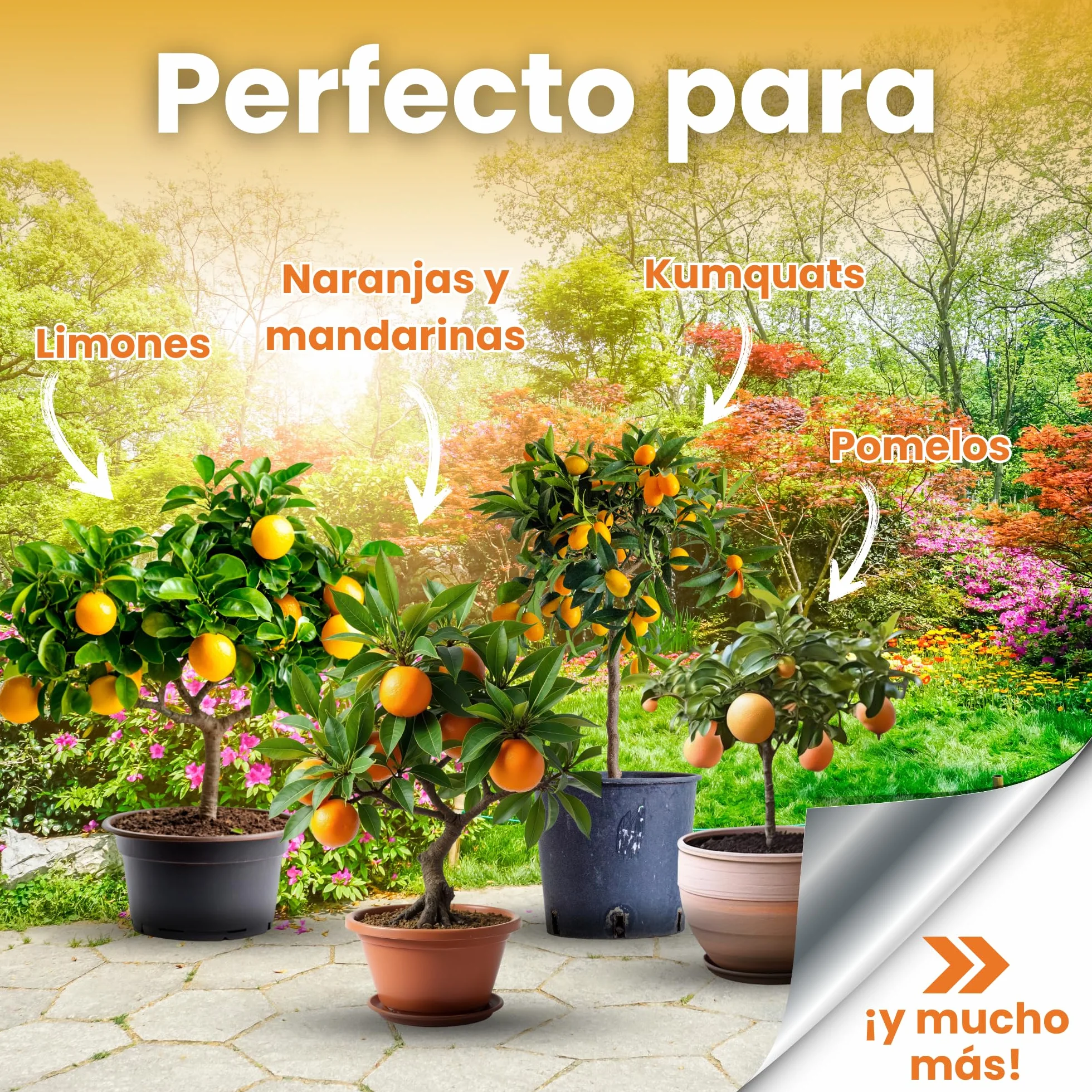 LERAVA Abono cítricos 800g Fertilizante orgánico para cítricos