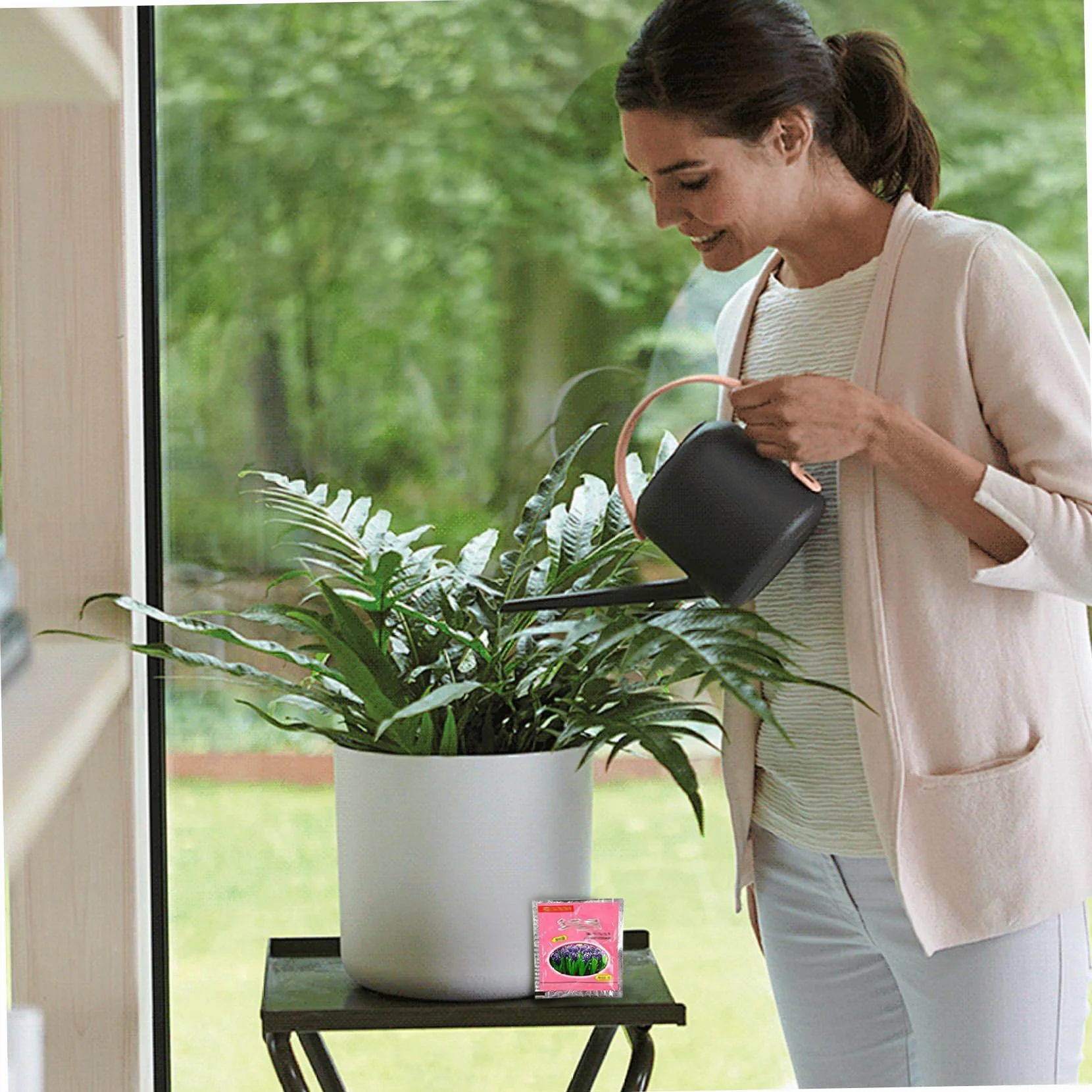 Hormona de enraizamiento | 10PCS 10g Polvo de ácido naftalenacético para esquejes de plantas