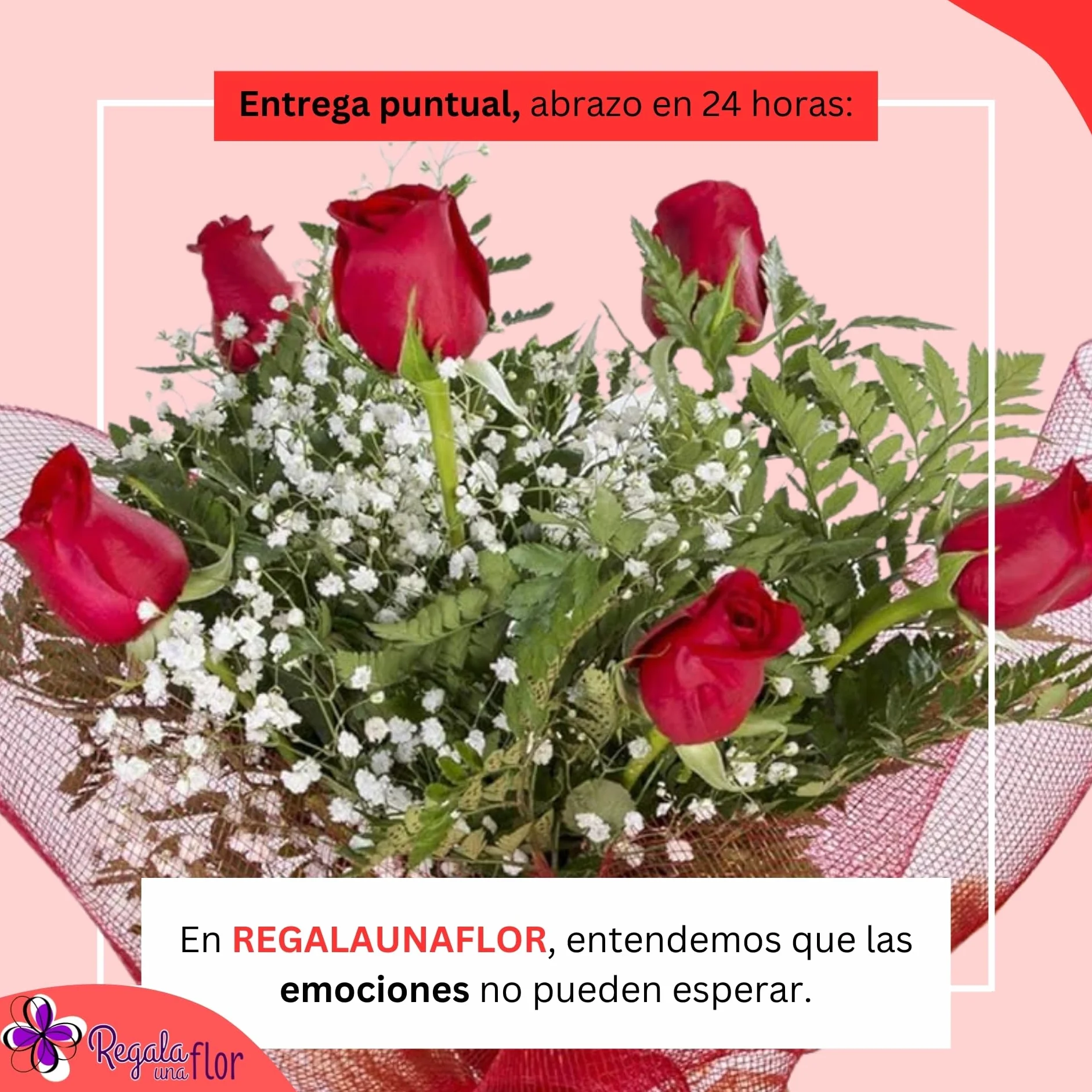 Ramo de 6 rosas naturales a domicilio con osito y tarjeta de dedicatoria