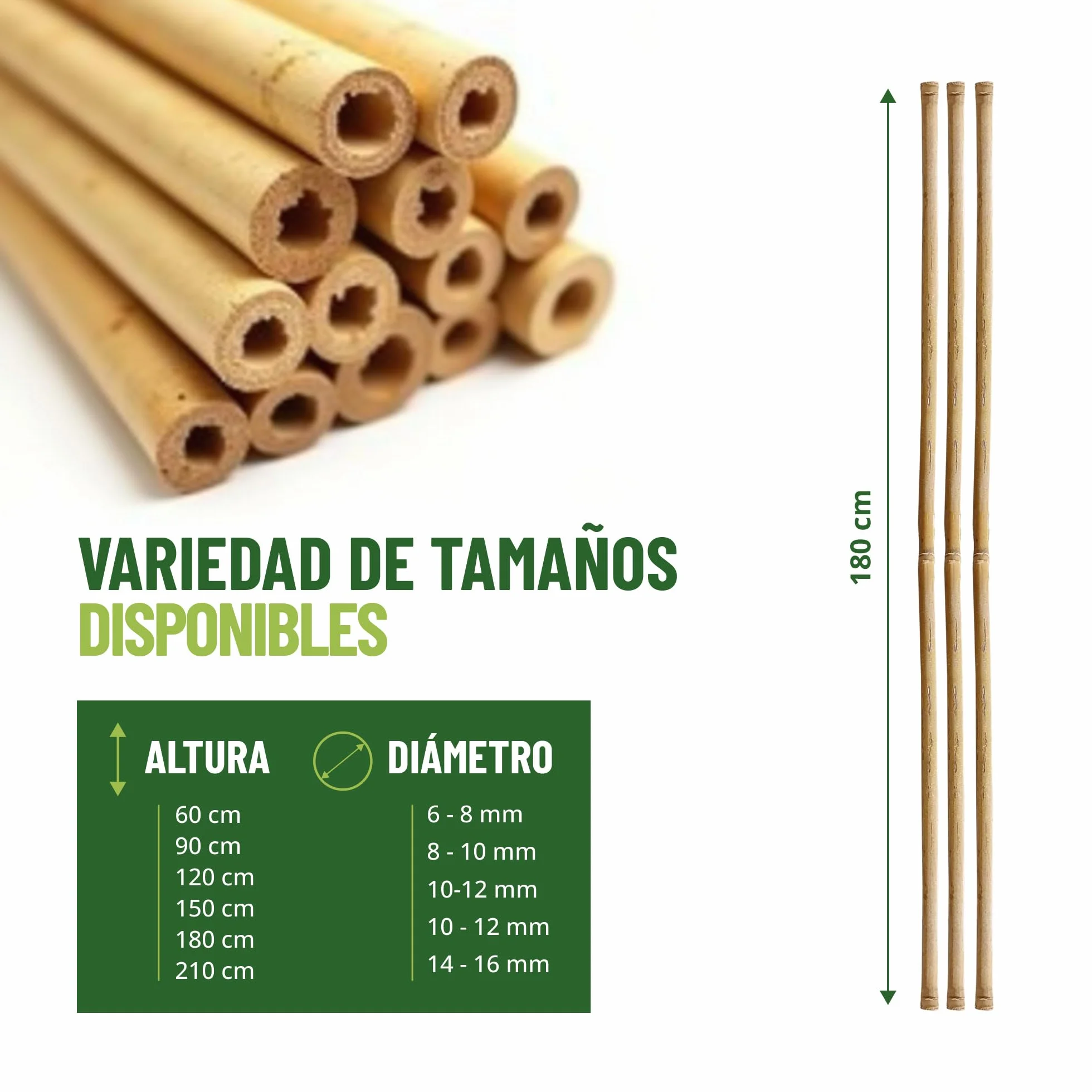 Control Garden Pack 30 Unidades Tutor de Bambú Ecológico 180 cm Estaca Natural Caña Sujetar Plantas ø 10-12