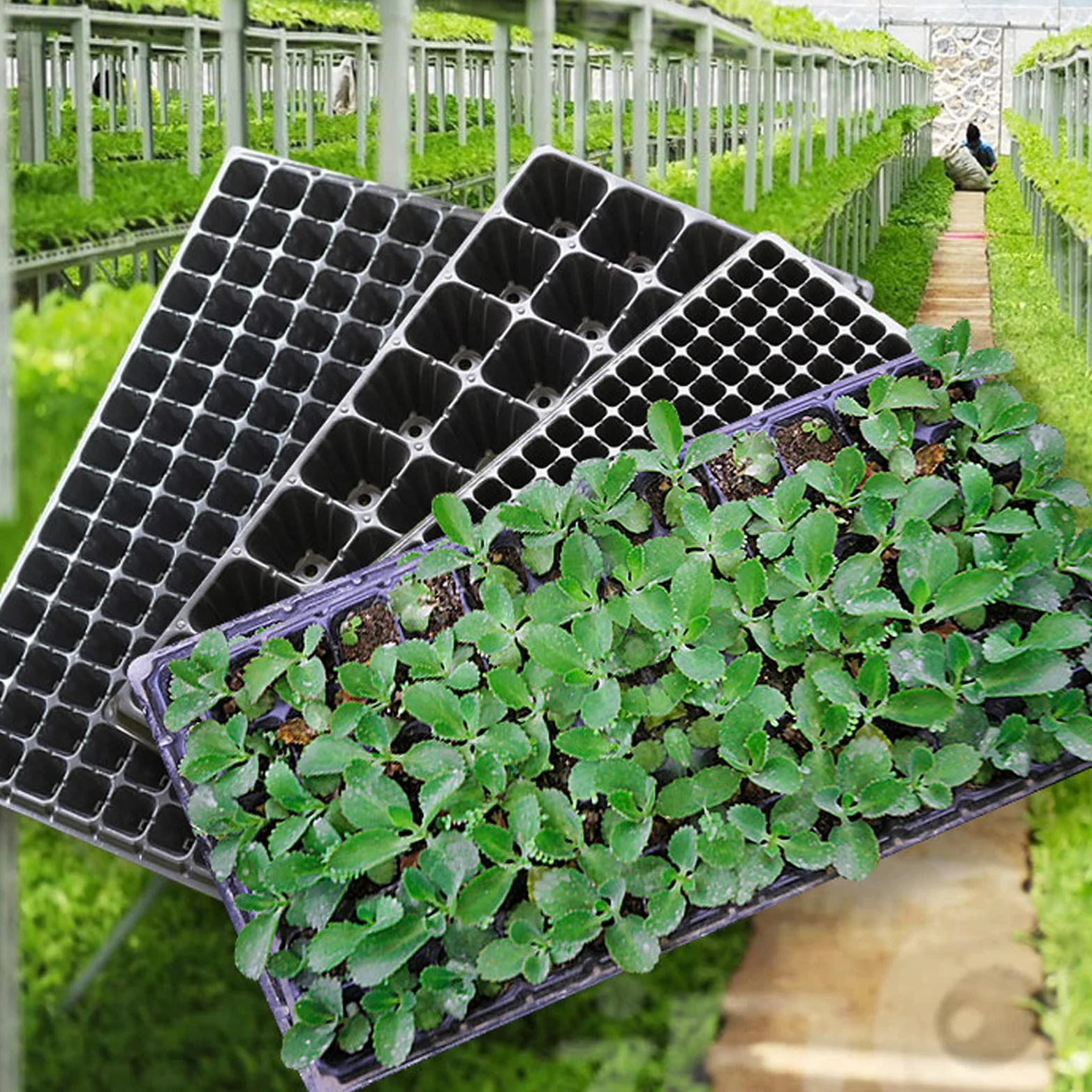 Bandeja semillero para Germinación, 32/50/72 Semillas Células Bandejas de Cultivo con Orificios de Drenaje para Jardín HidroponíA PláNtulas Plantas Flores, 32 Holes