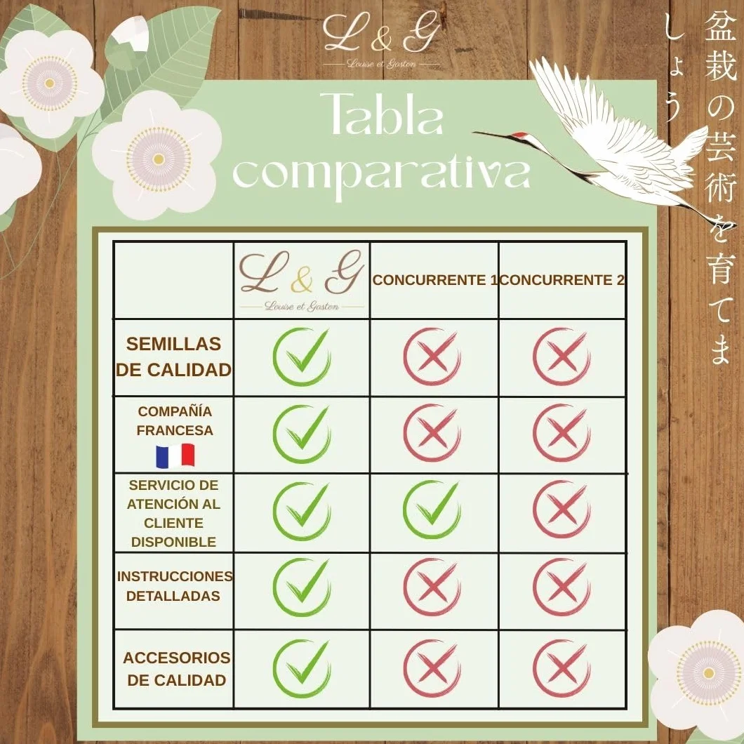 Kit Bonsái Completo para Cultivar 6 Semillas Naturales Jardinería Interior