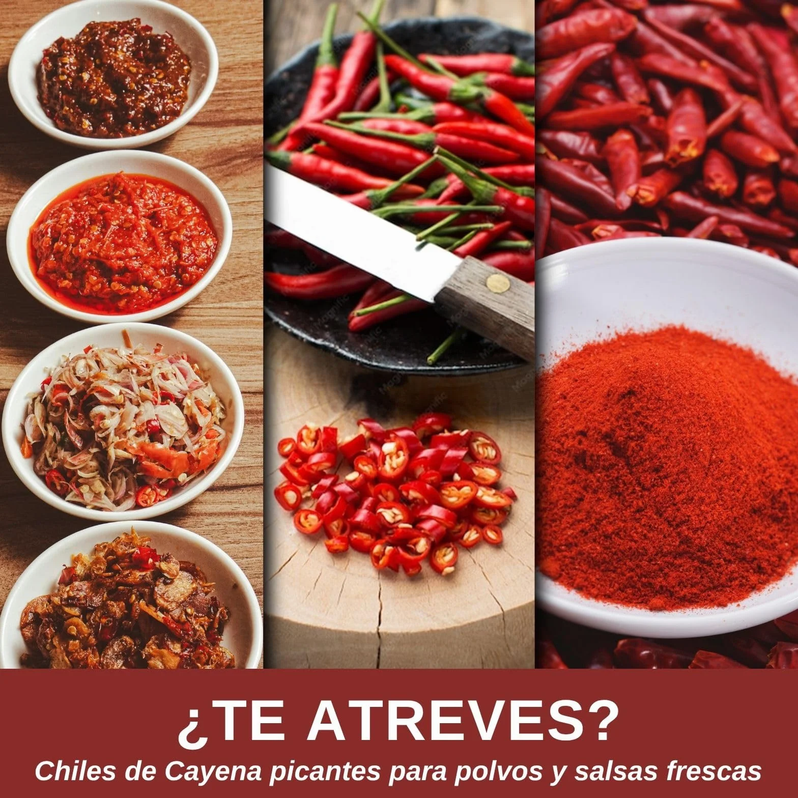 Red Cayenne Semillas de Chile Capsicum annuum 50 Ud. Nivel de Picante 8