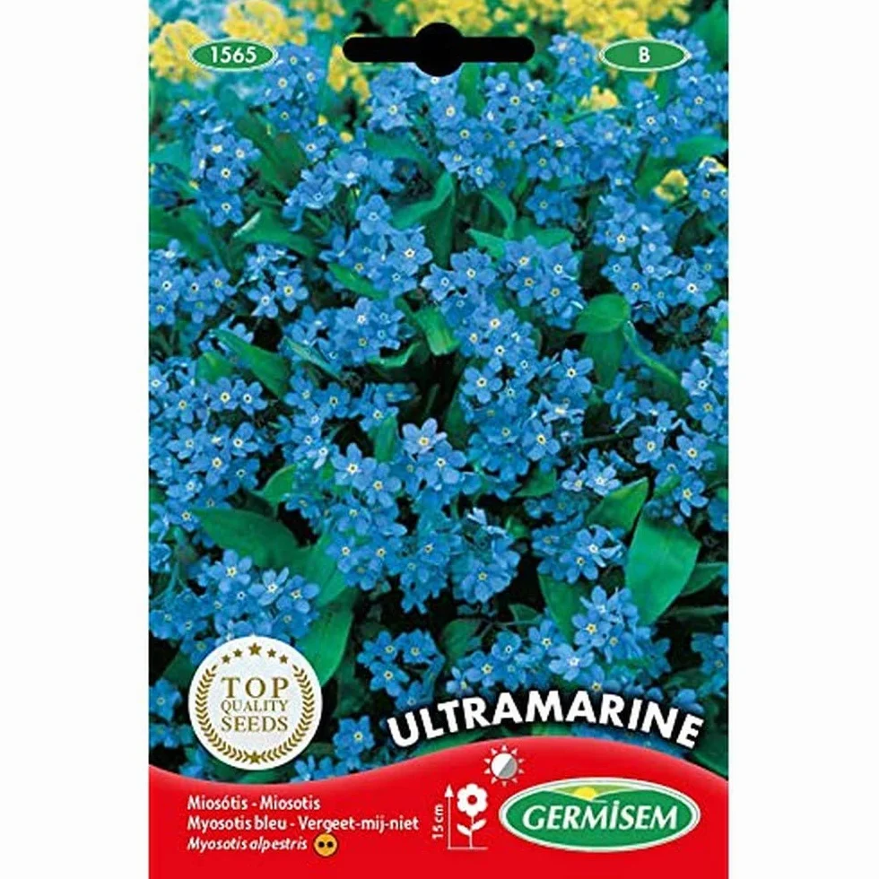Germisem Ultramarine Alpine Olvidar-Yo-No Semillas de Flor 0.5 g