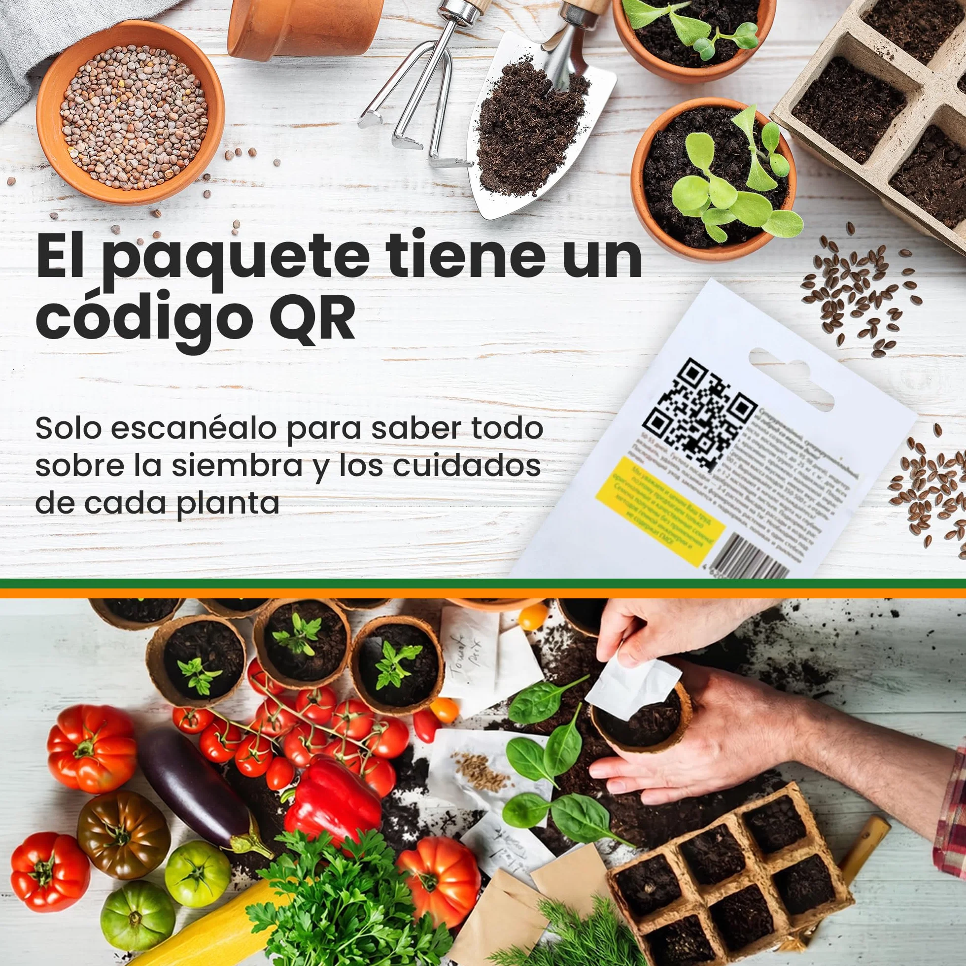 Set de Semillas de Vegetales 15 Variedades TORAF – Tomate, Pepino, Pimiento, Calabacin, Brócoli, Rúcula
