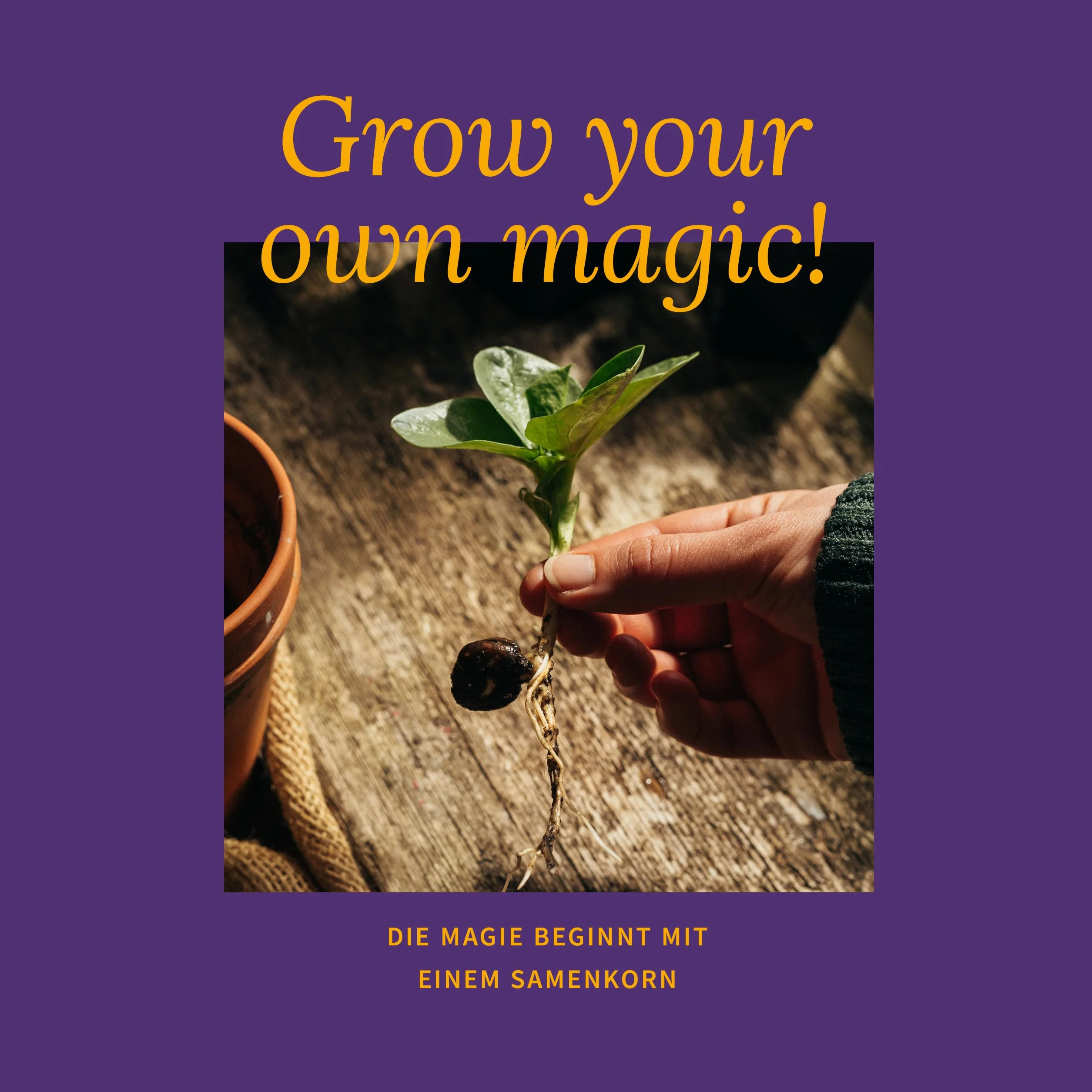 Magic Garden Seeds Maceta de hierbas mini jardín de hierbas balcón cocina caja semillas 9 hierbas aromáticas