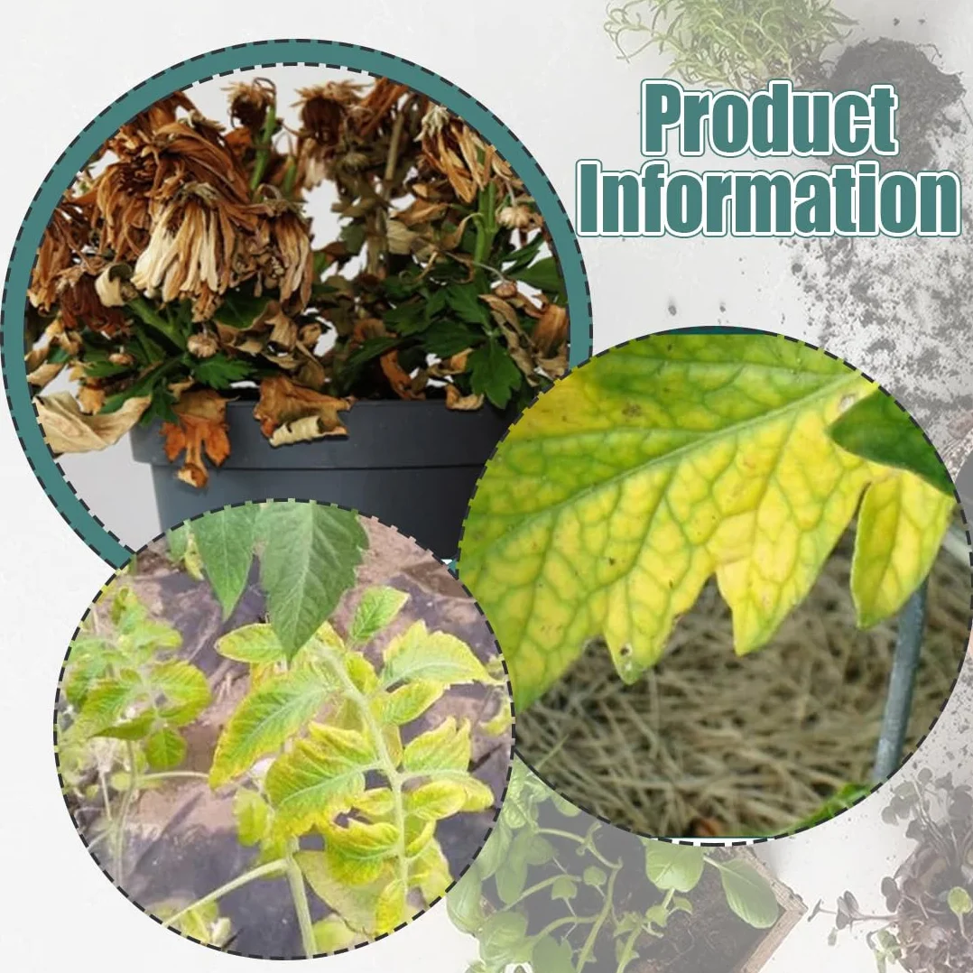 Gotas de Enraizamiento de Plantas, Solución Nutritiva, 100 ml